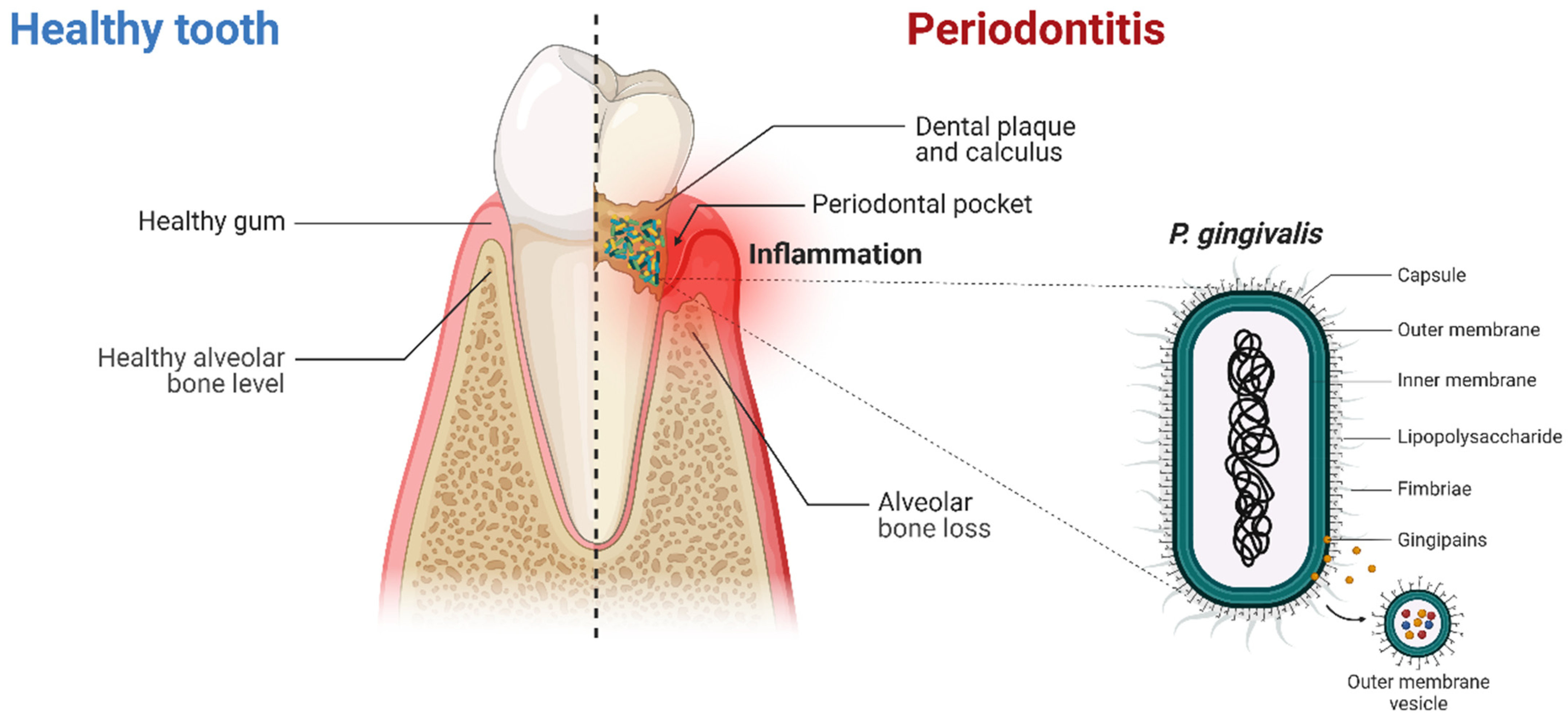 Pharmaceutics 17 00141 g003