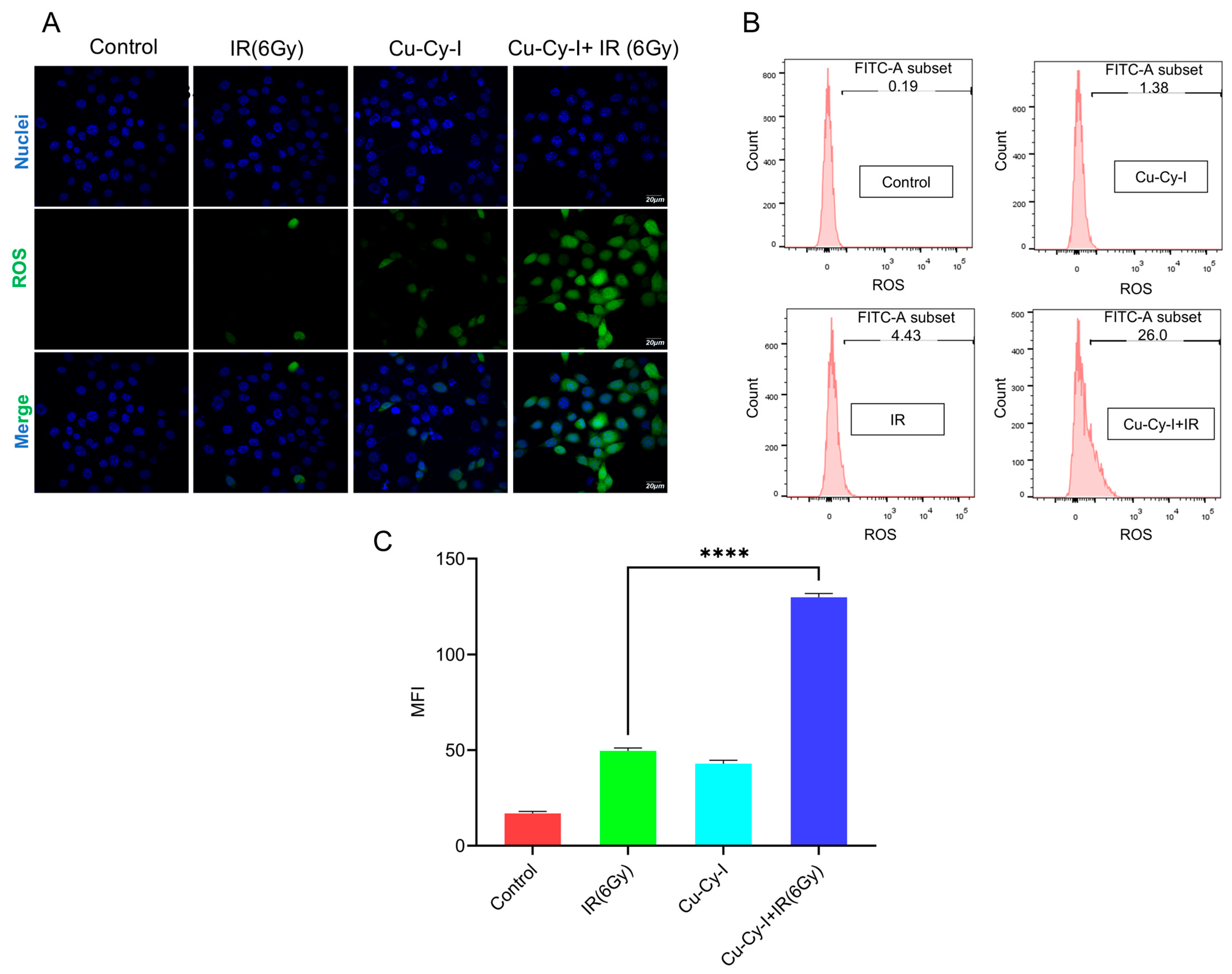 Pharmaceutics 17 00149 g003