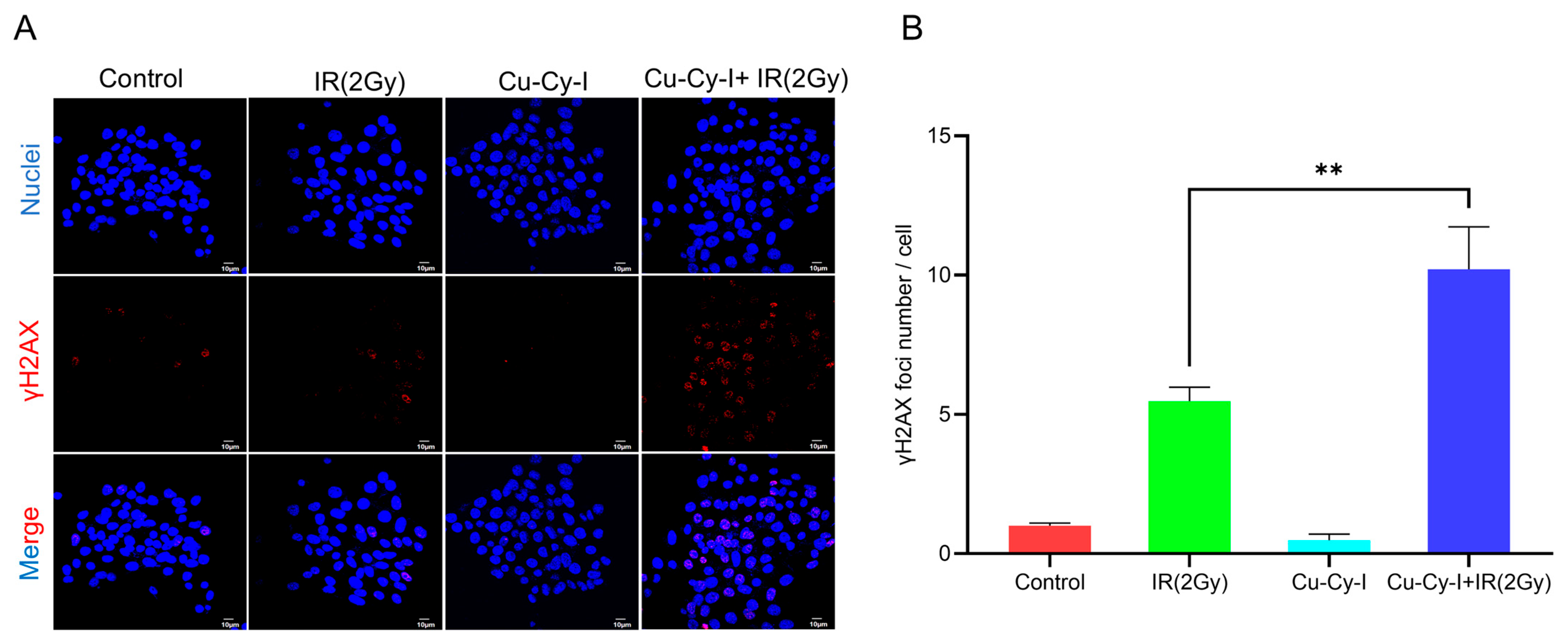 Pharmaceutics 17 00149 g004