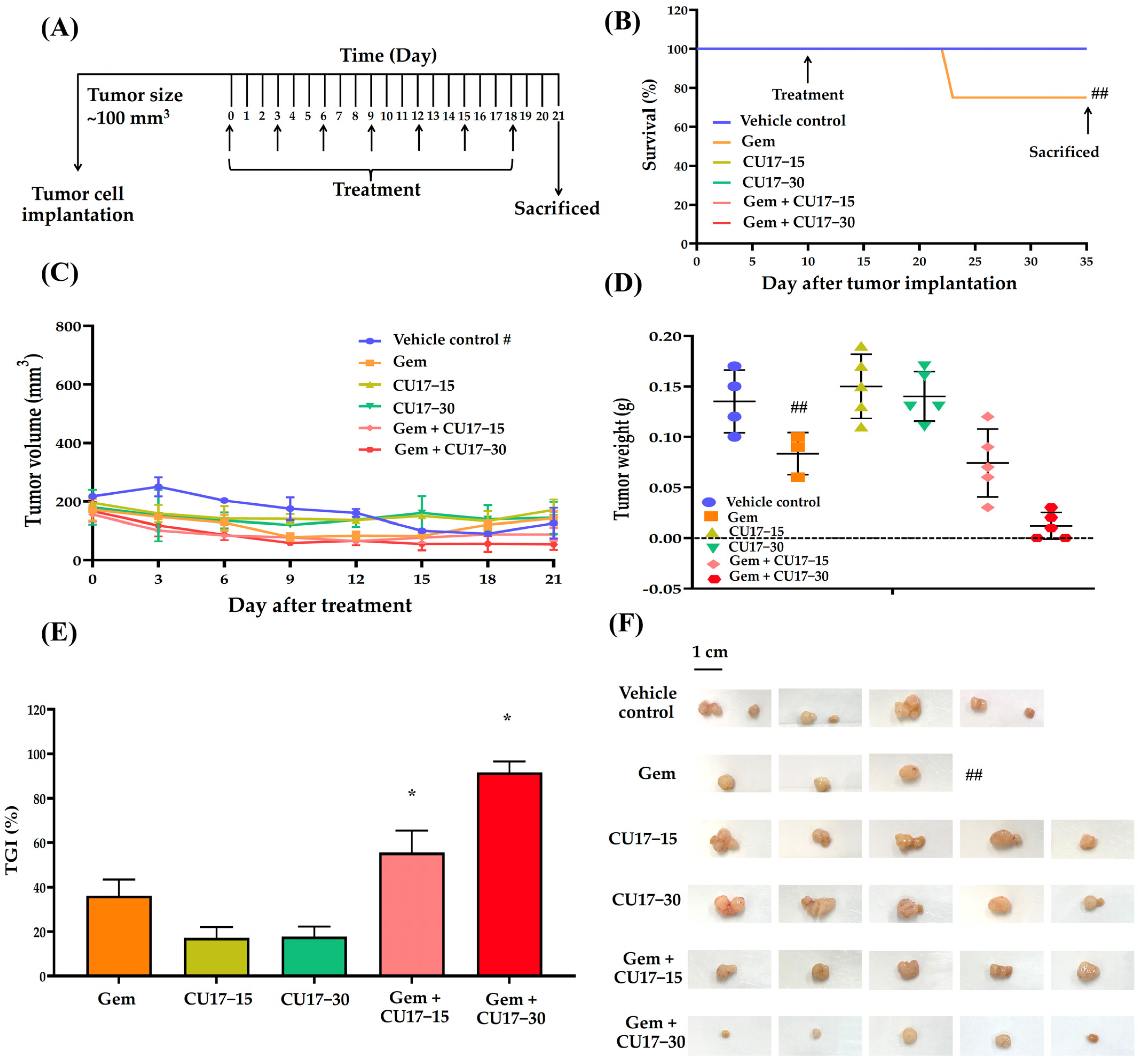 Pharmaceutics 17 00158 g004