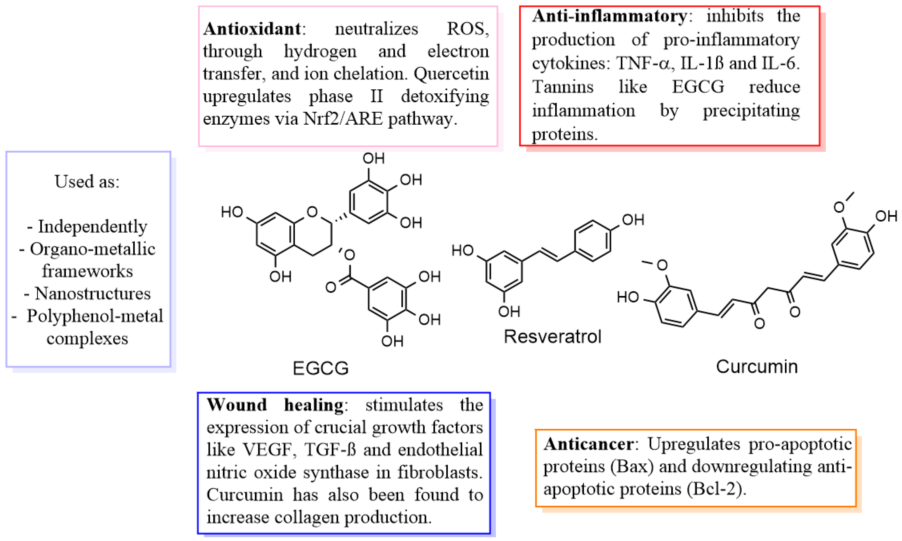 Pharmaceutics 17 00194 g001