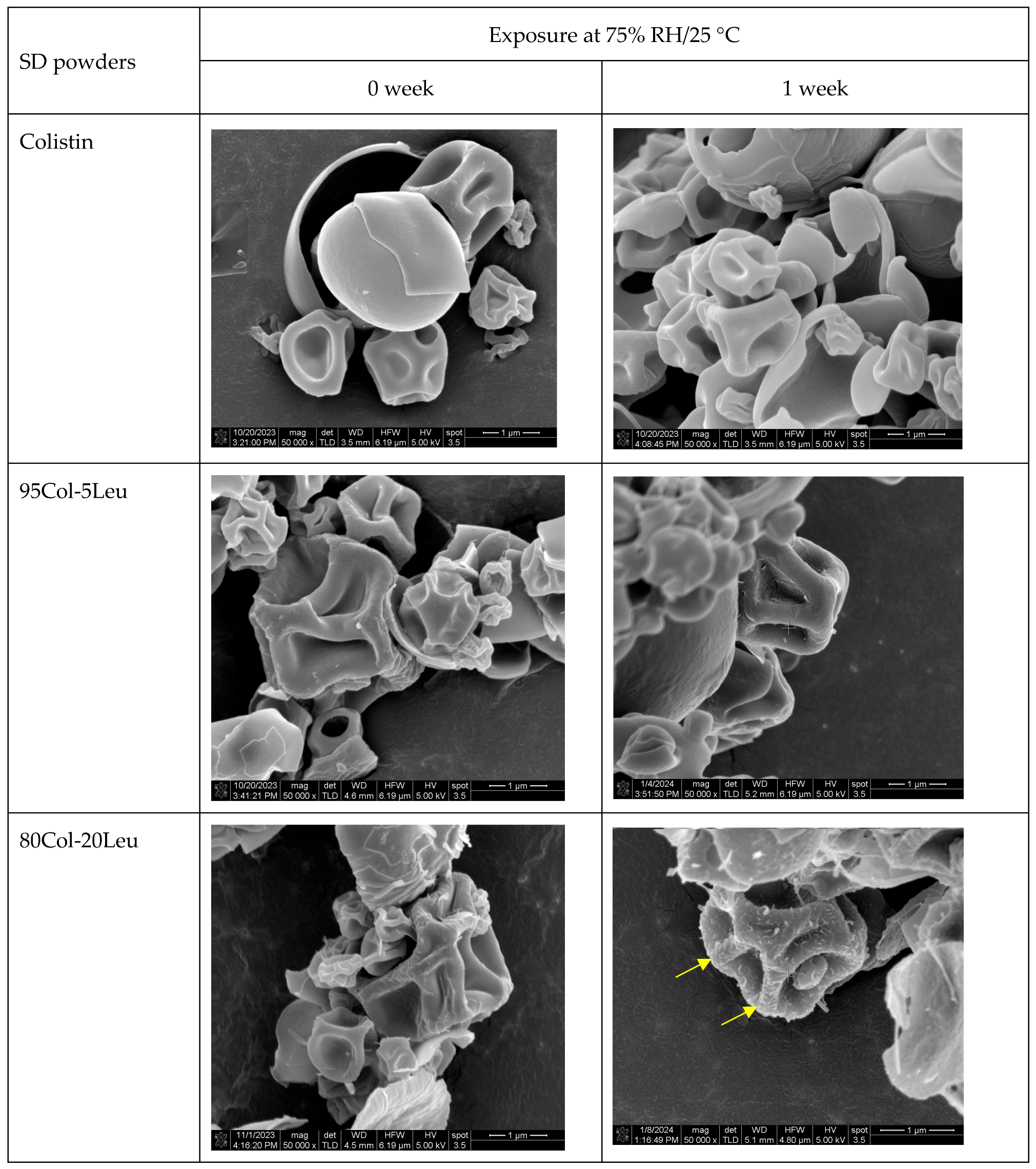 Pharmaceutics 17 00199 g002a