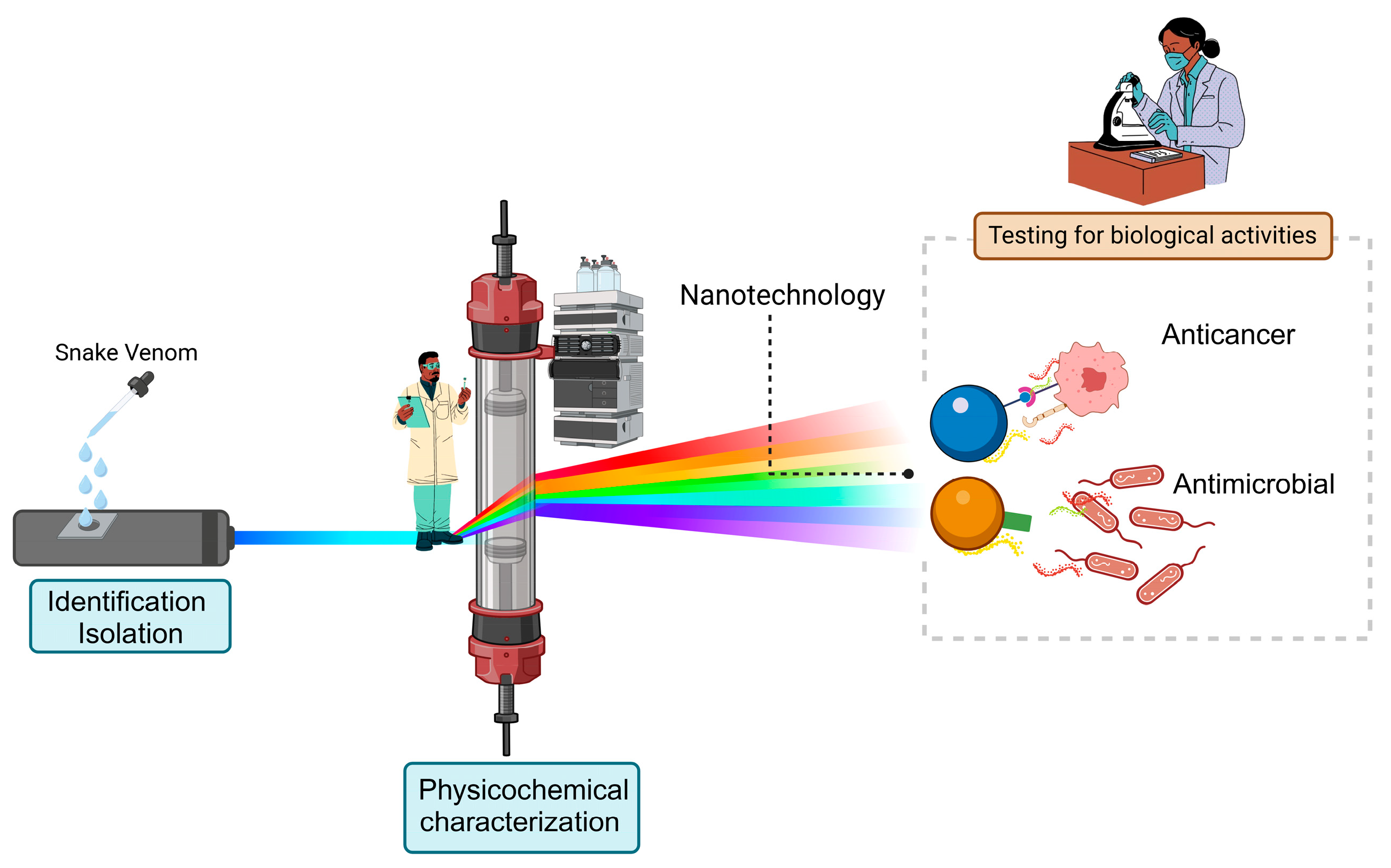 Pharmaceutics 17 00204 g003