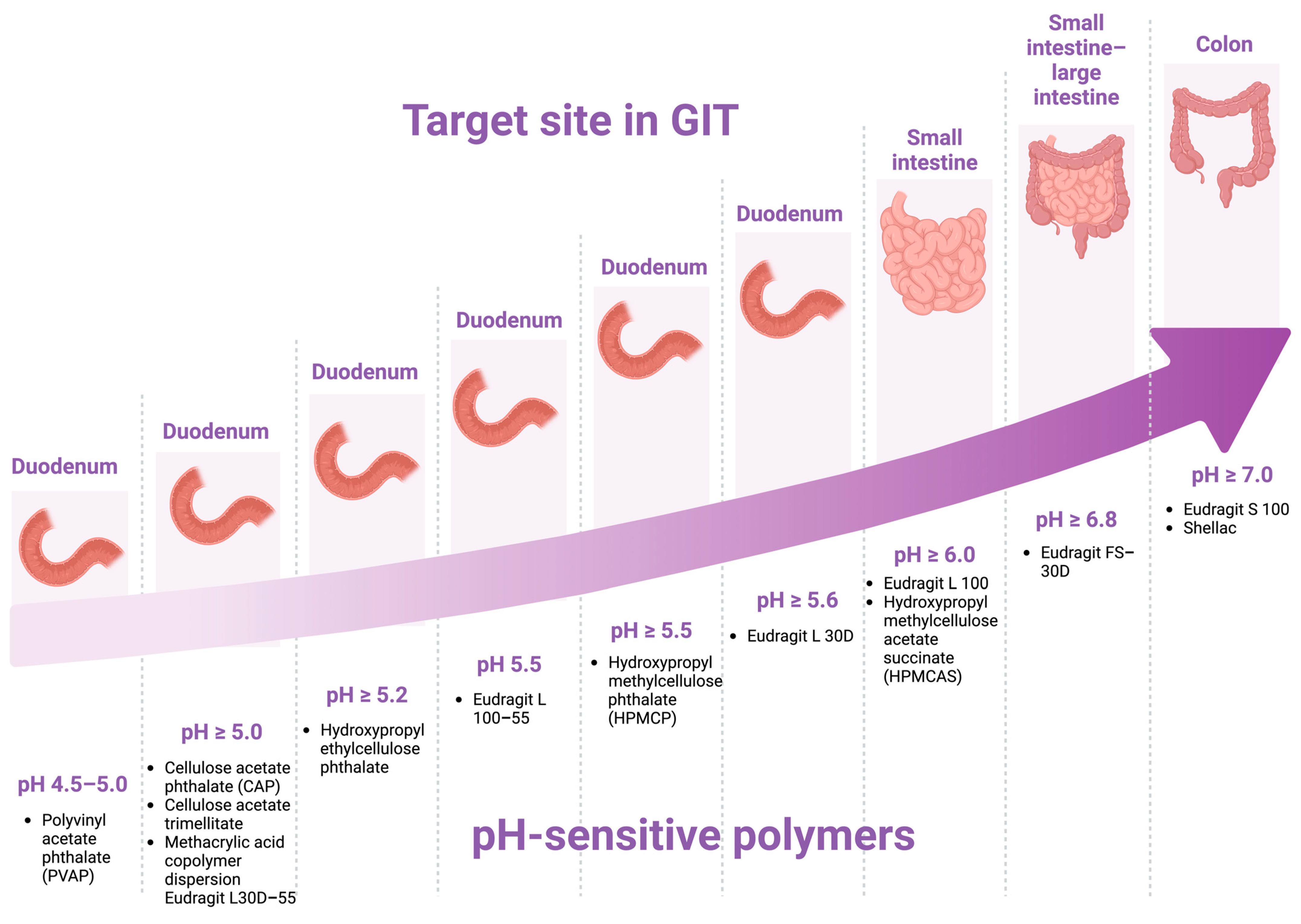 Pharmaceutics 17 00226 g002 Pharmaceutics 17 00226 g002