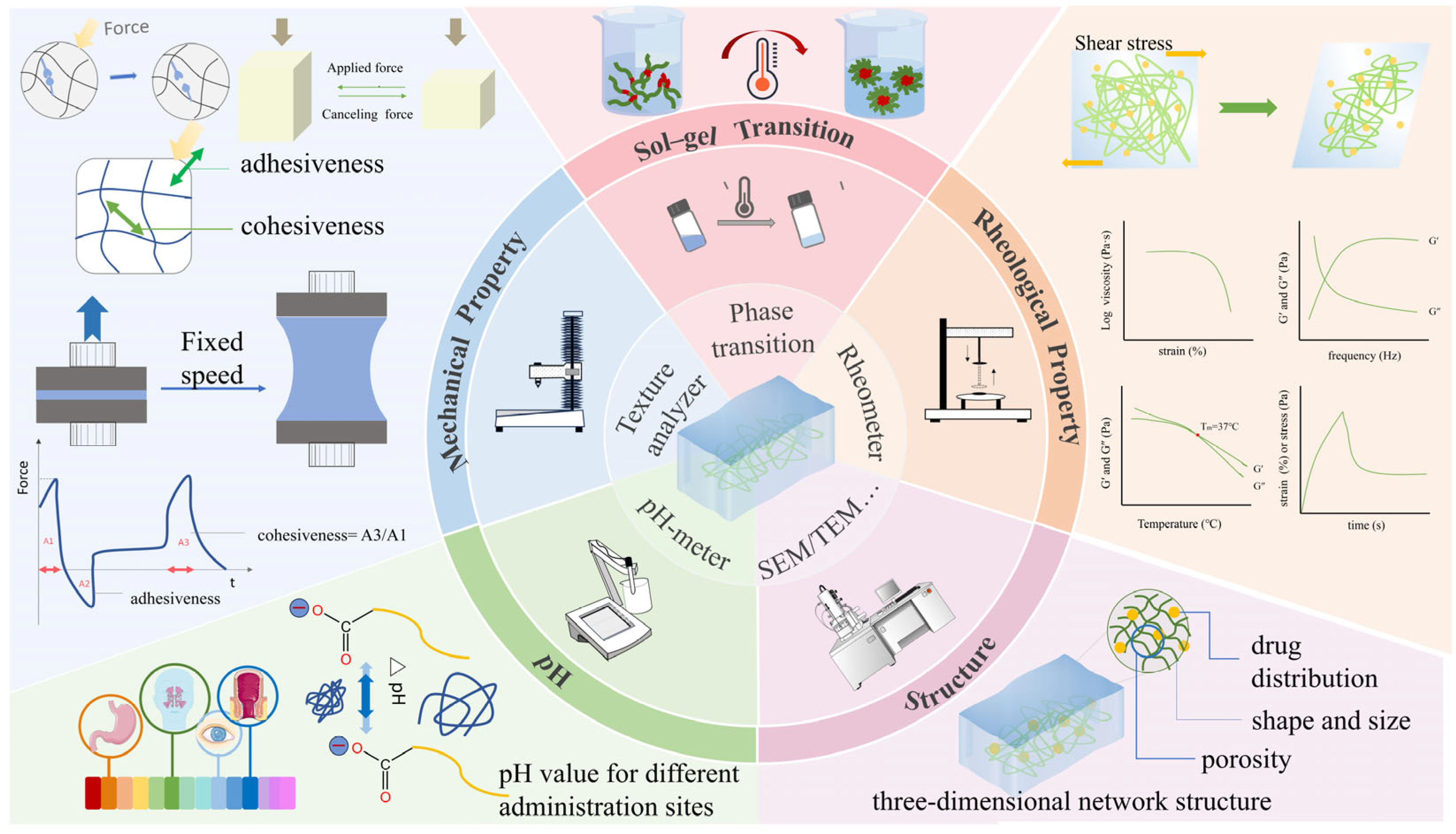 Pharmaceutics 17 00249 g002