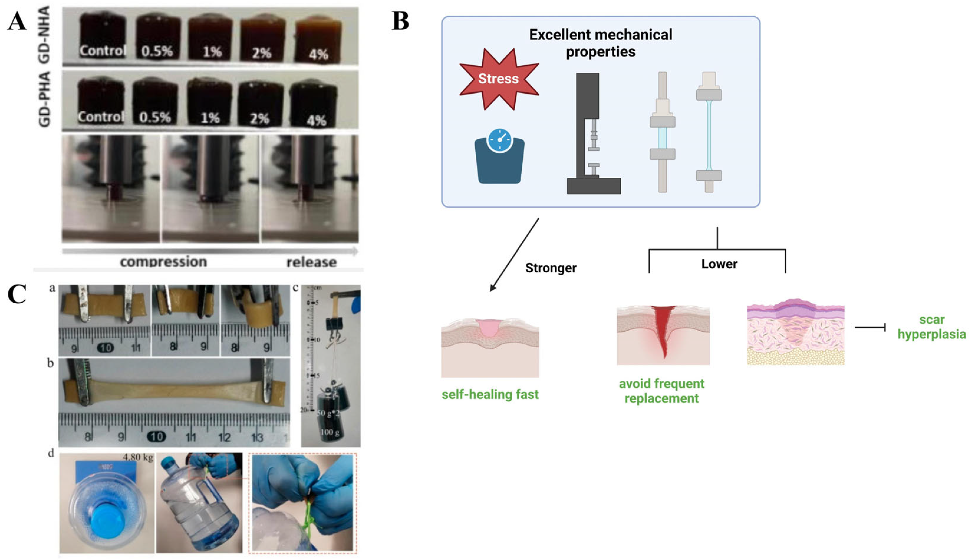 Pharmaceutics 17 00249 g003
