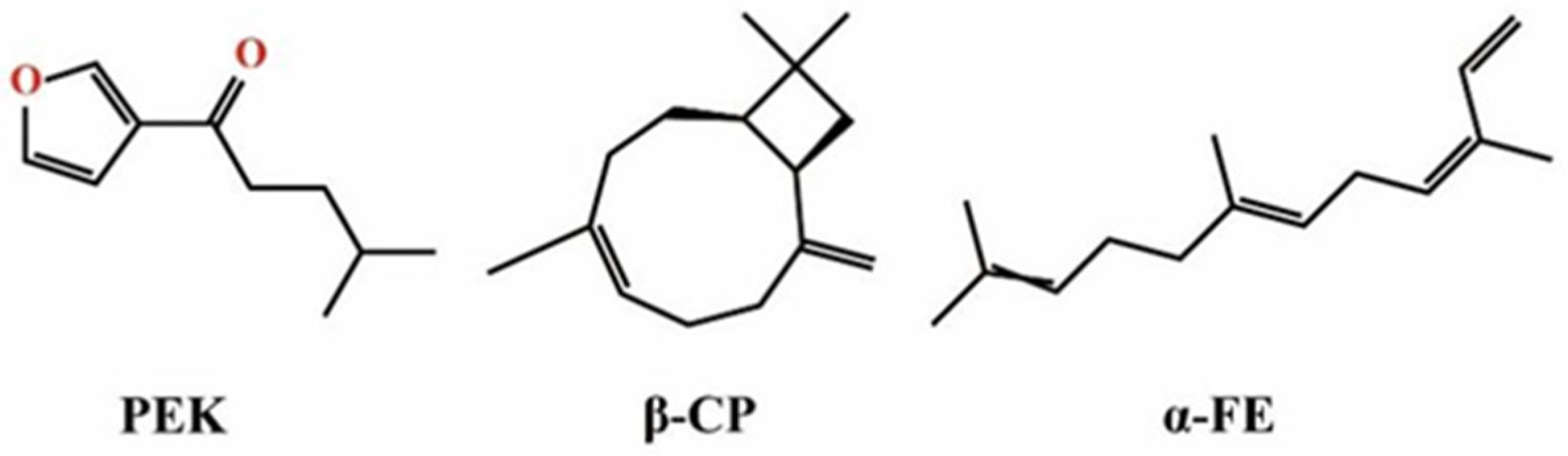 Pharmaceutics 17 00254 g003 Pharmaceutics 17 00254 g003