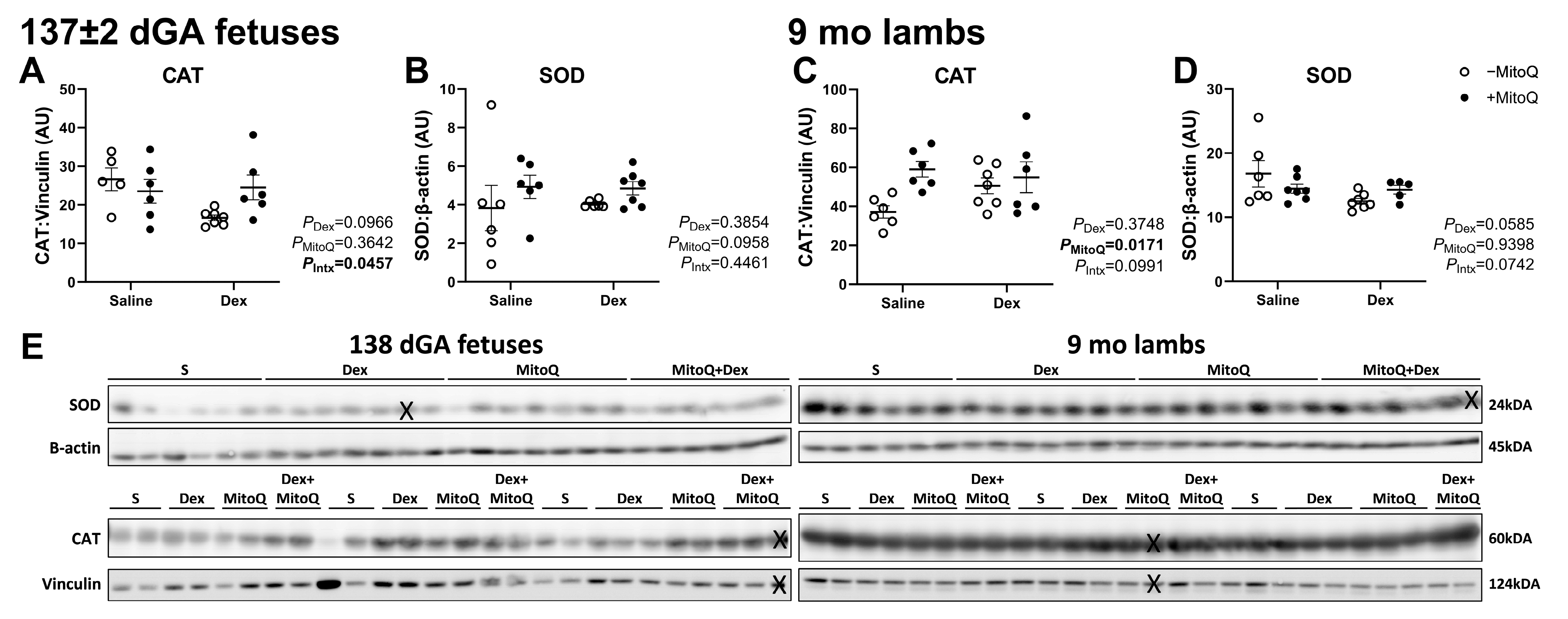 Pharmaceutics 17 00285 g003