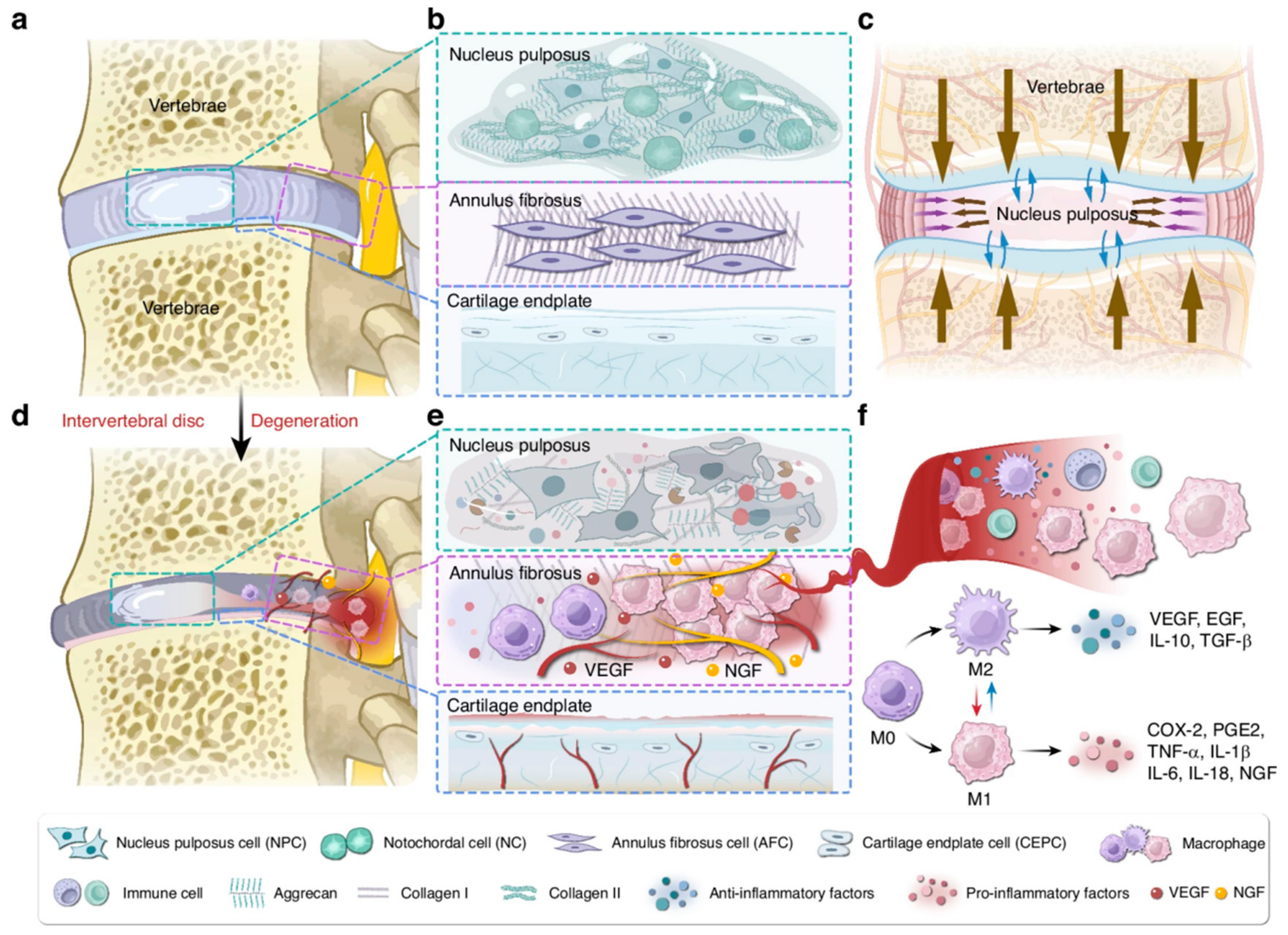 Pharmaceutics 17 00313 g002