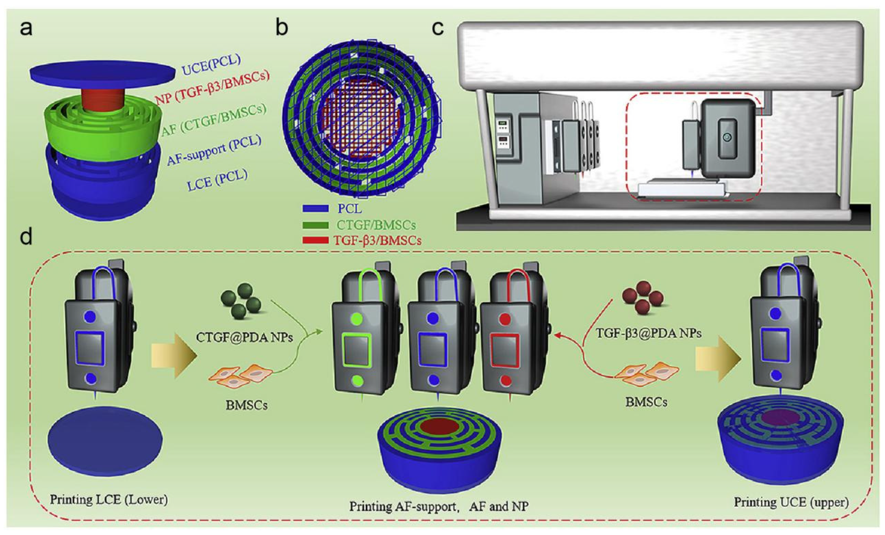 Pharmaceutics 17 00313 g003