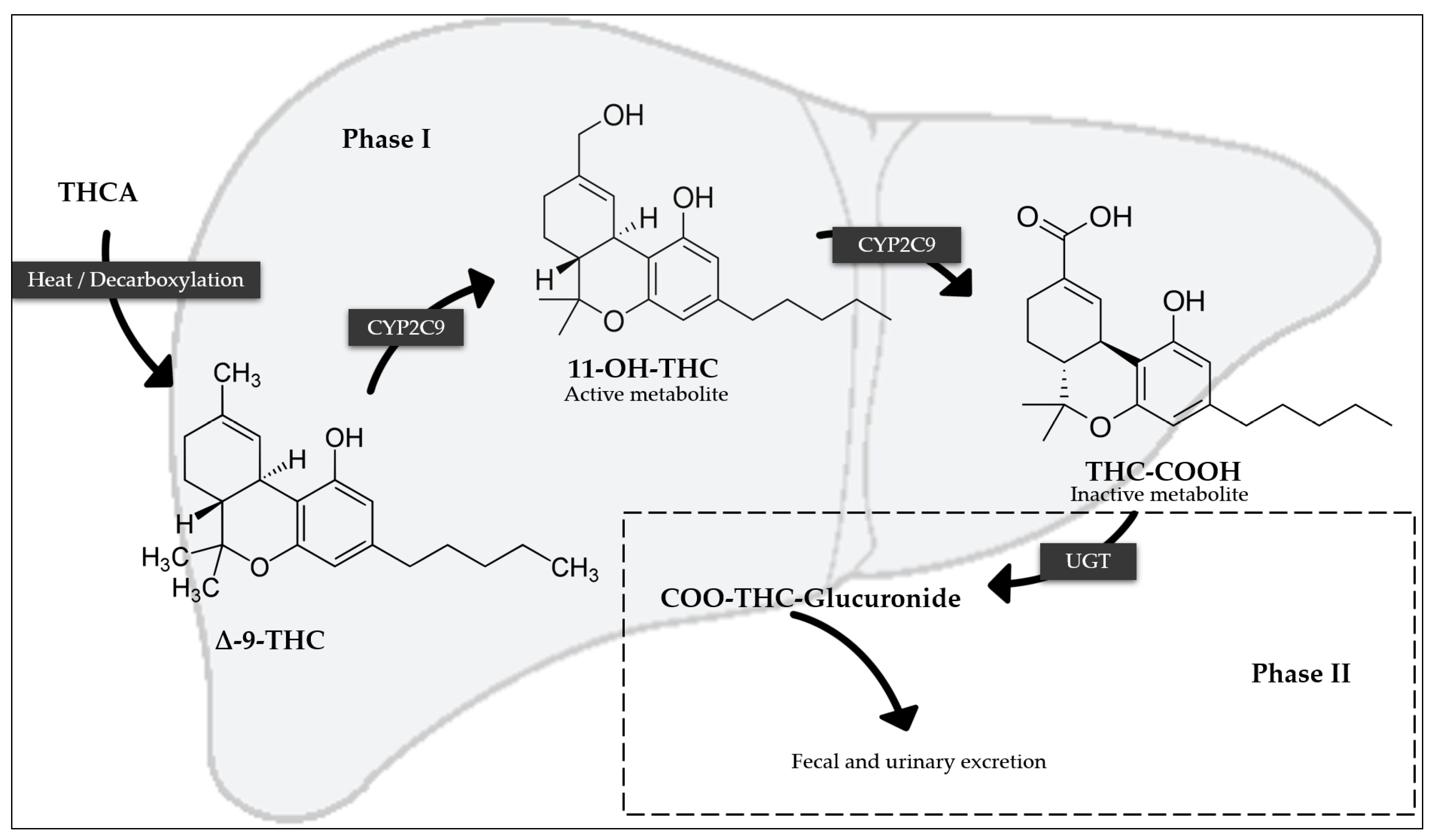 Pharmaceutics 17 00319 g001