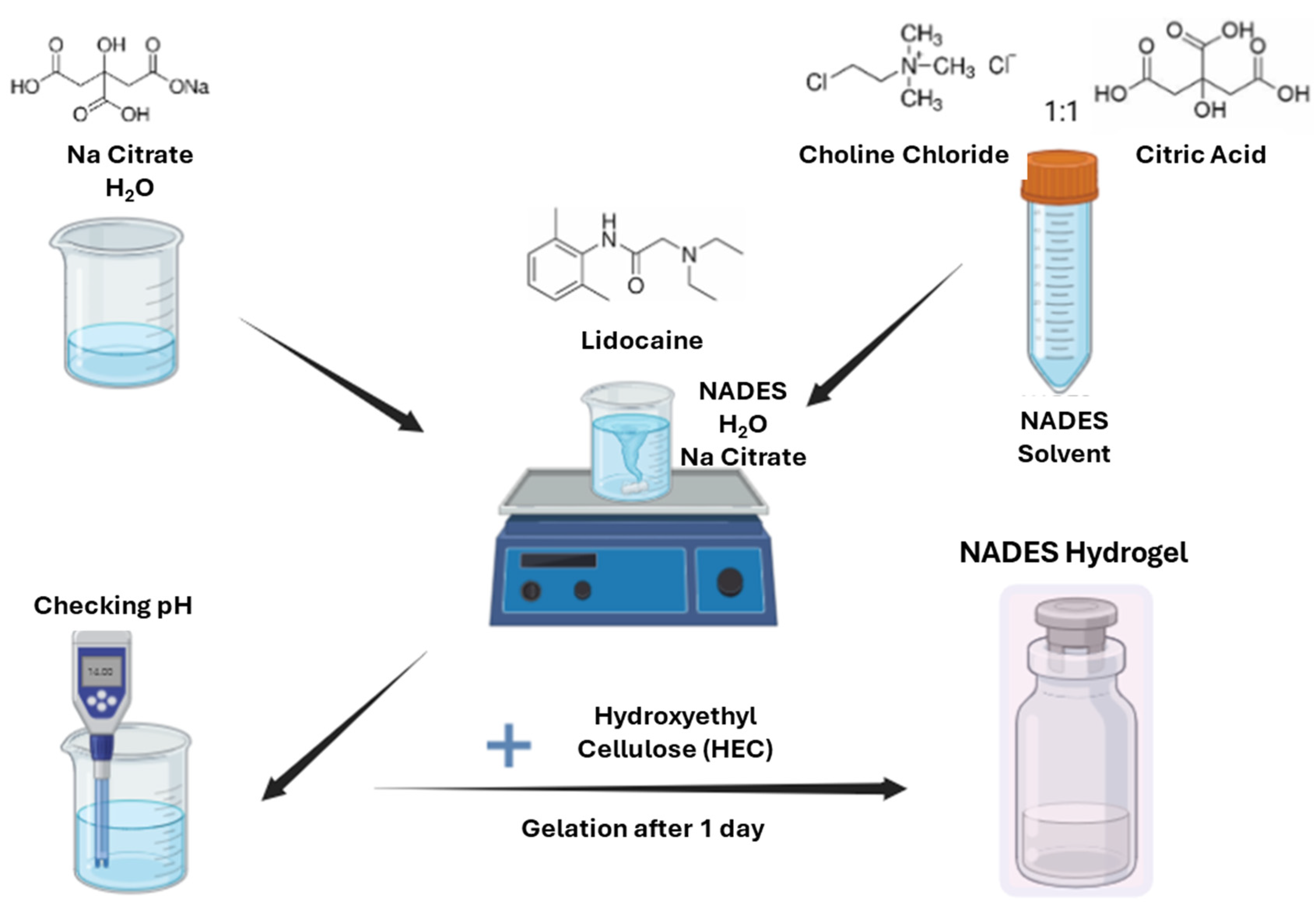 Pharmaceutics 17 00324 g001