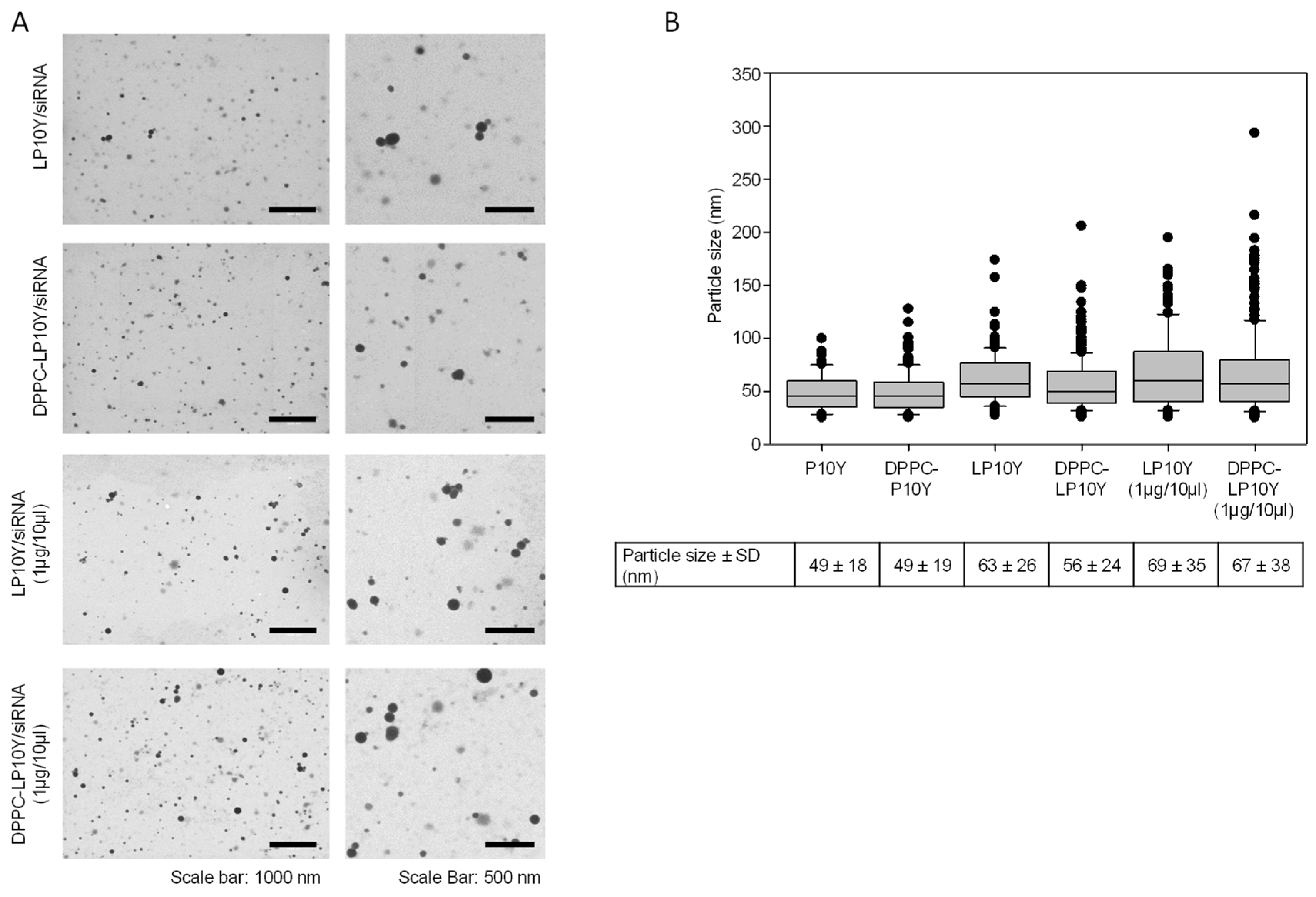 Pharmaceutics 17 00339 g002 Pharmaceutics 17 00339 g002