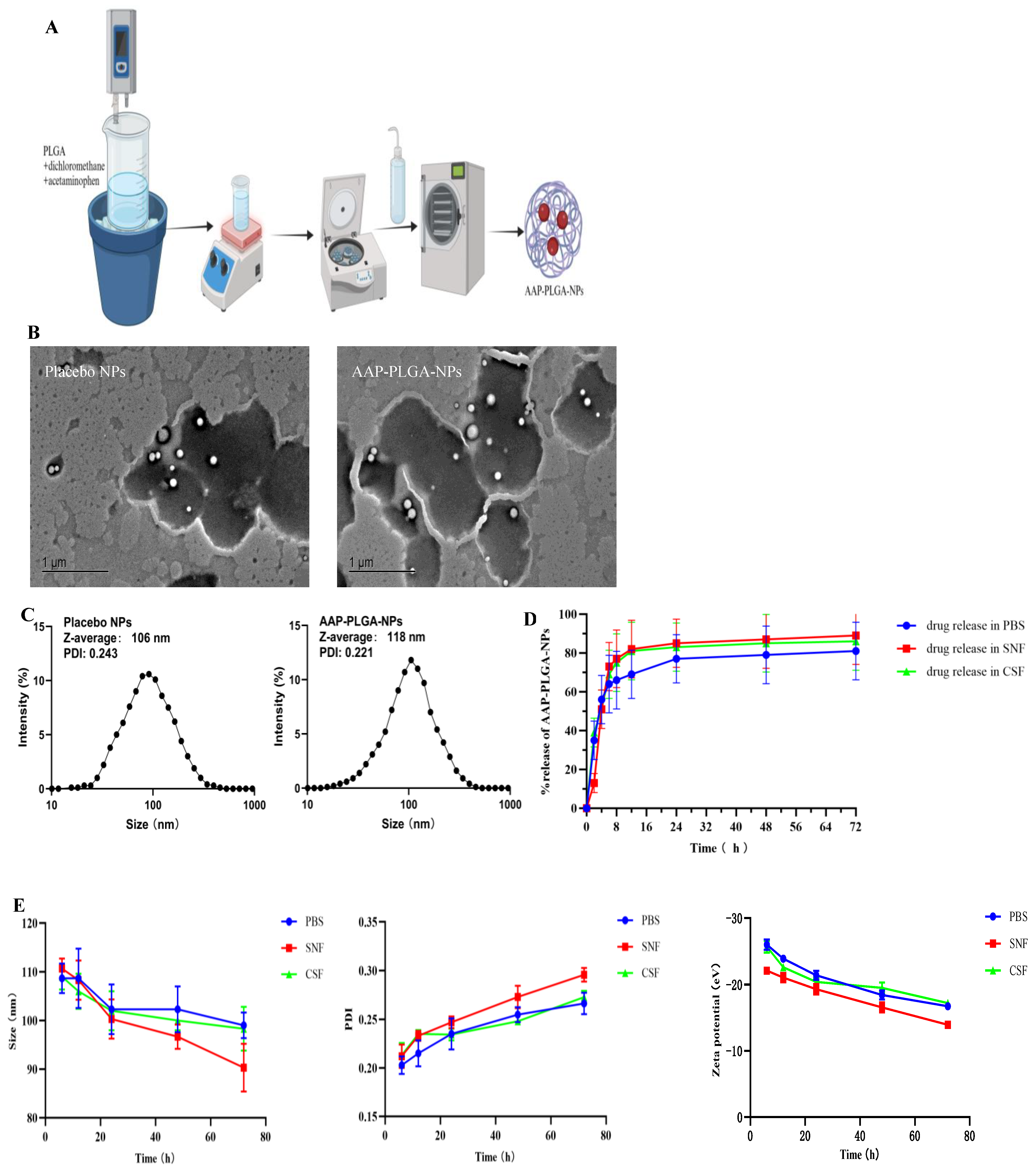 Pharmaceutics 17 00341 g001