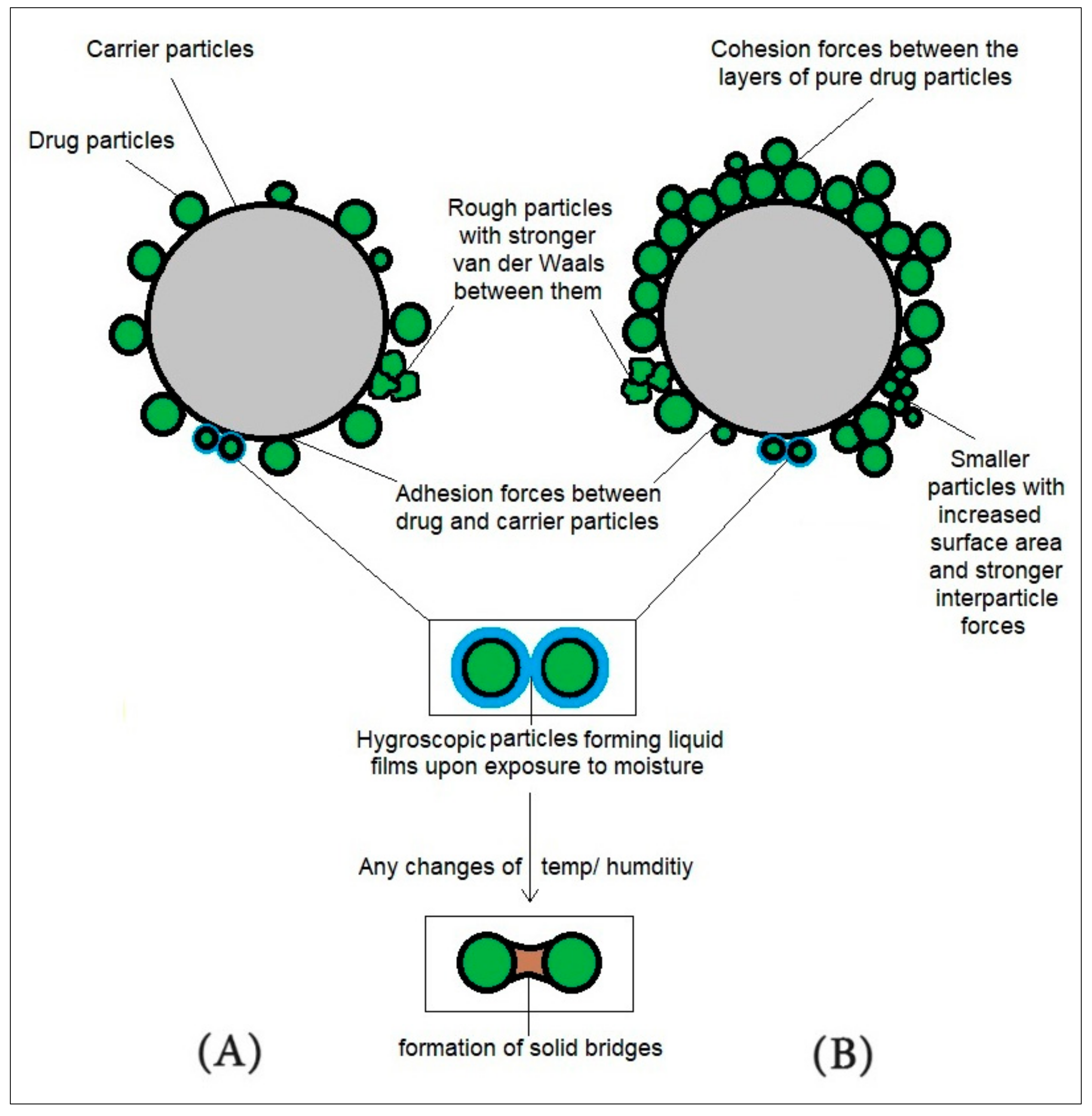 Pharmaceutics 17 00359 g001
