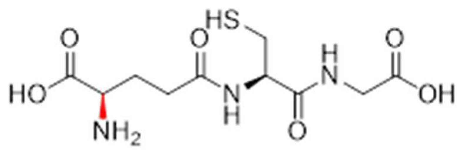 Pharmaceutics 17 00385 g005