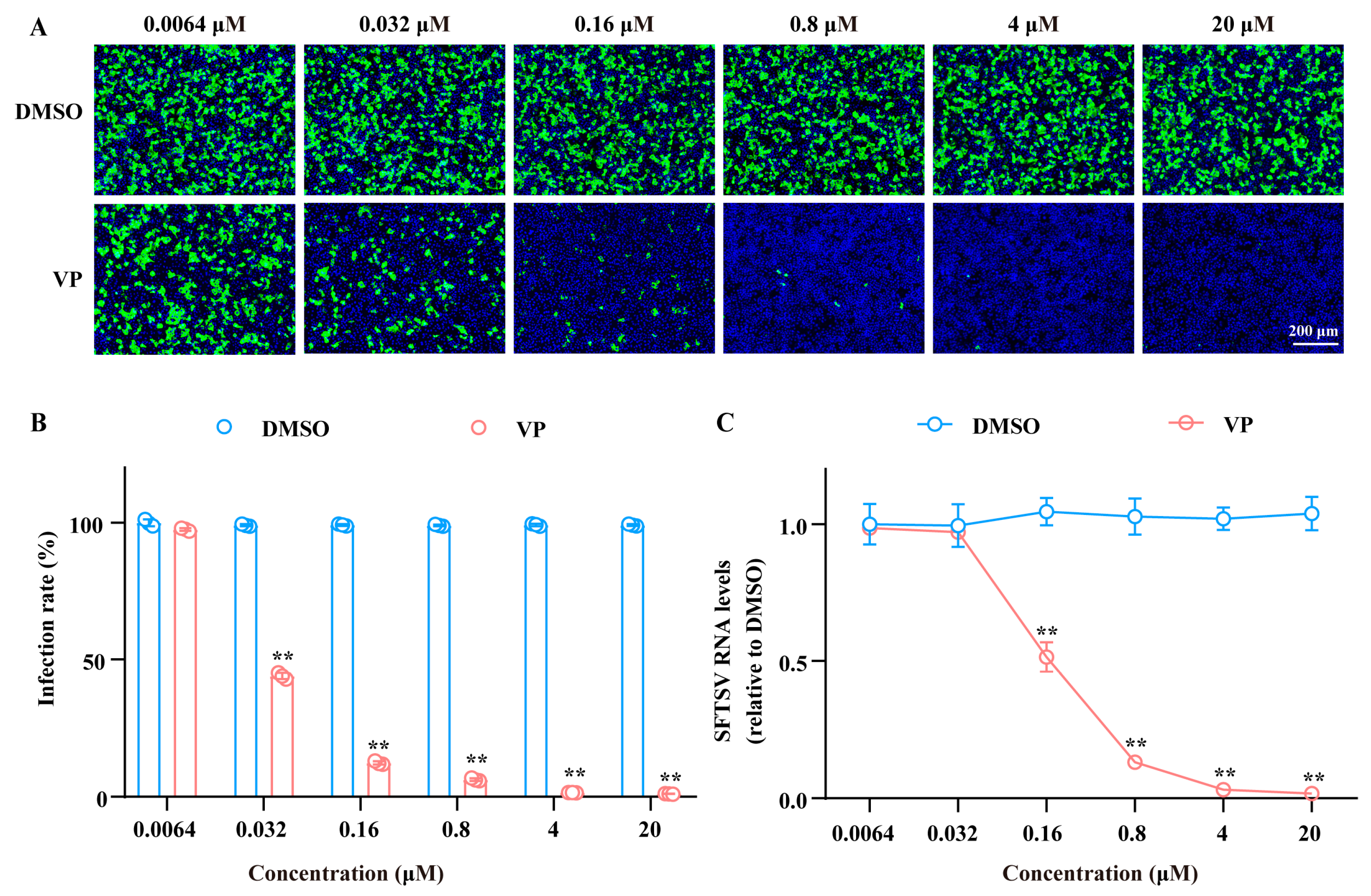 Pharmaceutics 17 00434 g003