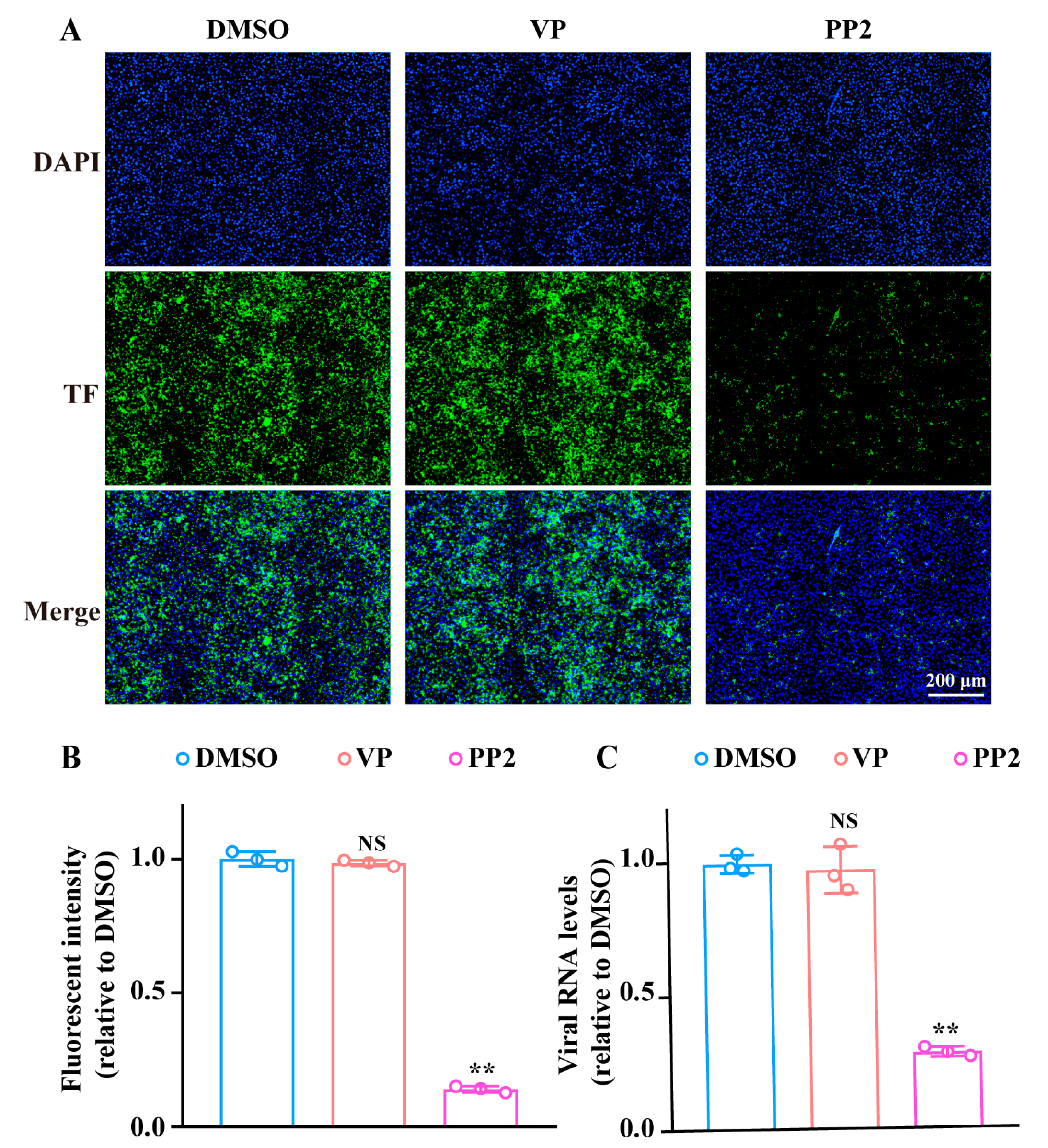 Pharmaceutics 17 00434 g004