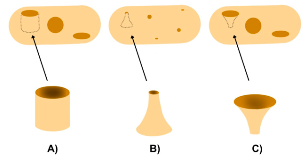 Pharmaceutics 17 00445 g011
