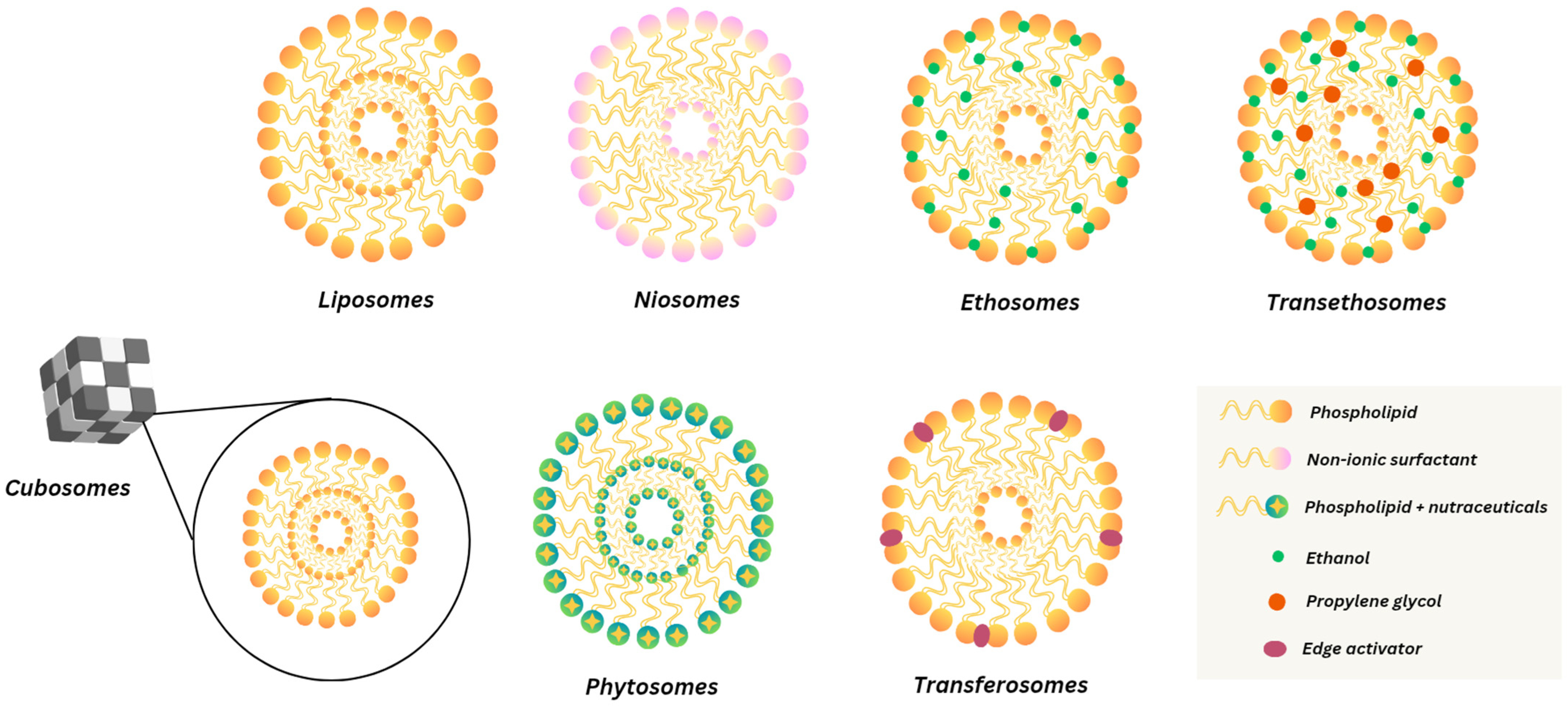 Pharmaceutics 17 00464 g001 Pharmaceutics 17 00464 g001