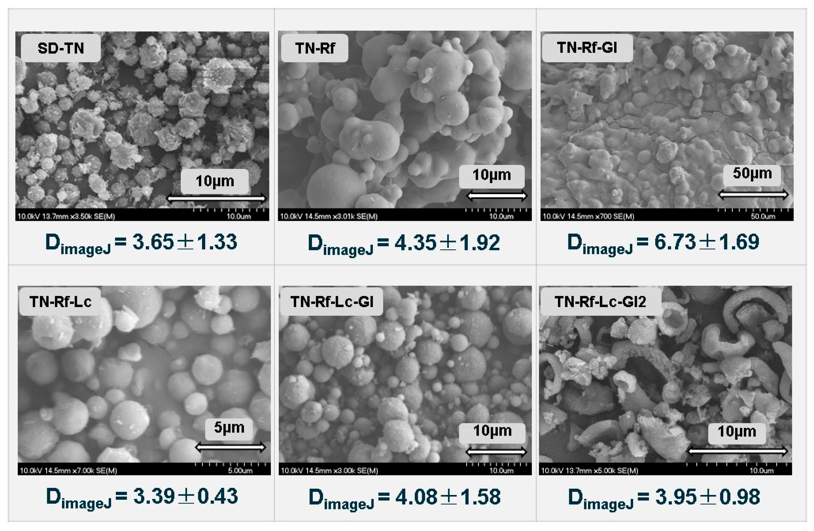 Pharmaceutics 17 00466 g009