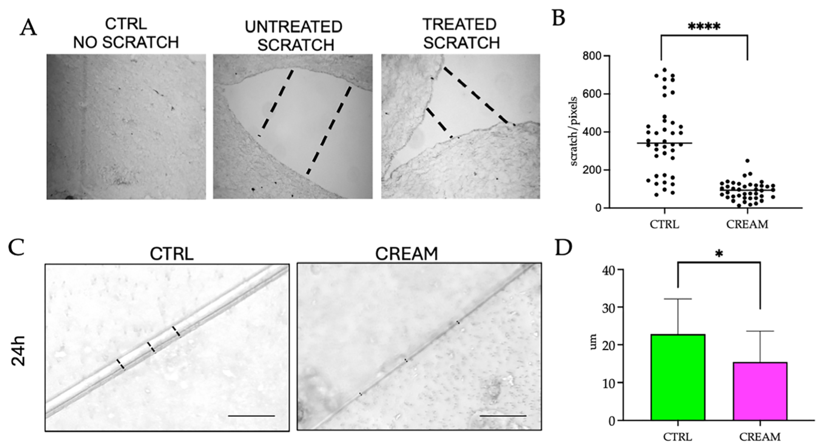 Pharmaceutics 17 00472 g002