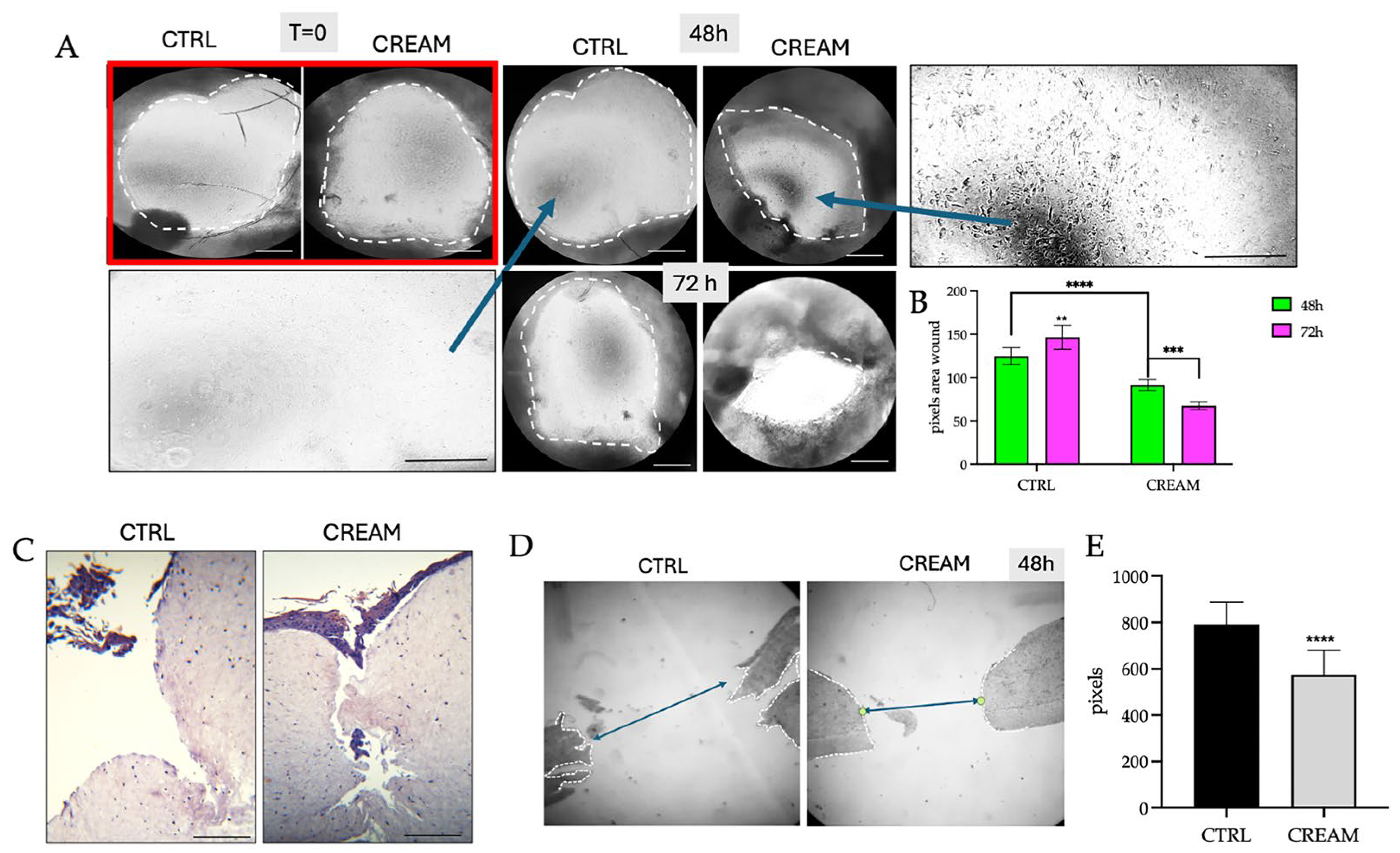 Pharmaceutics 17 00472 g003