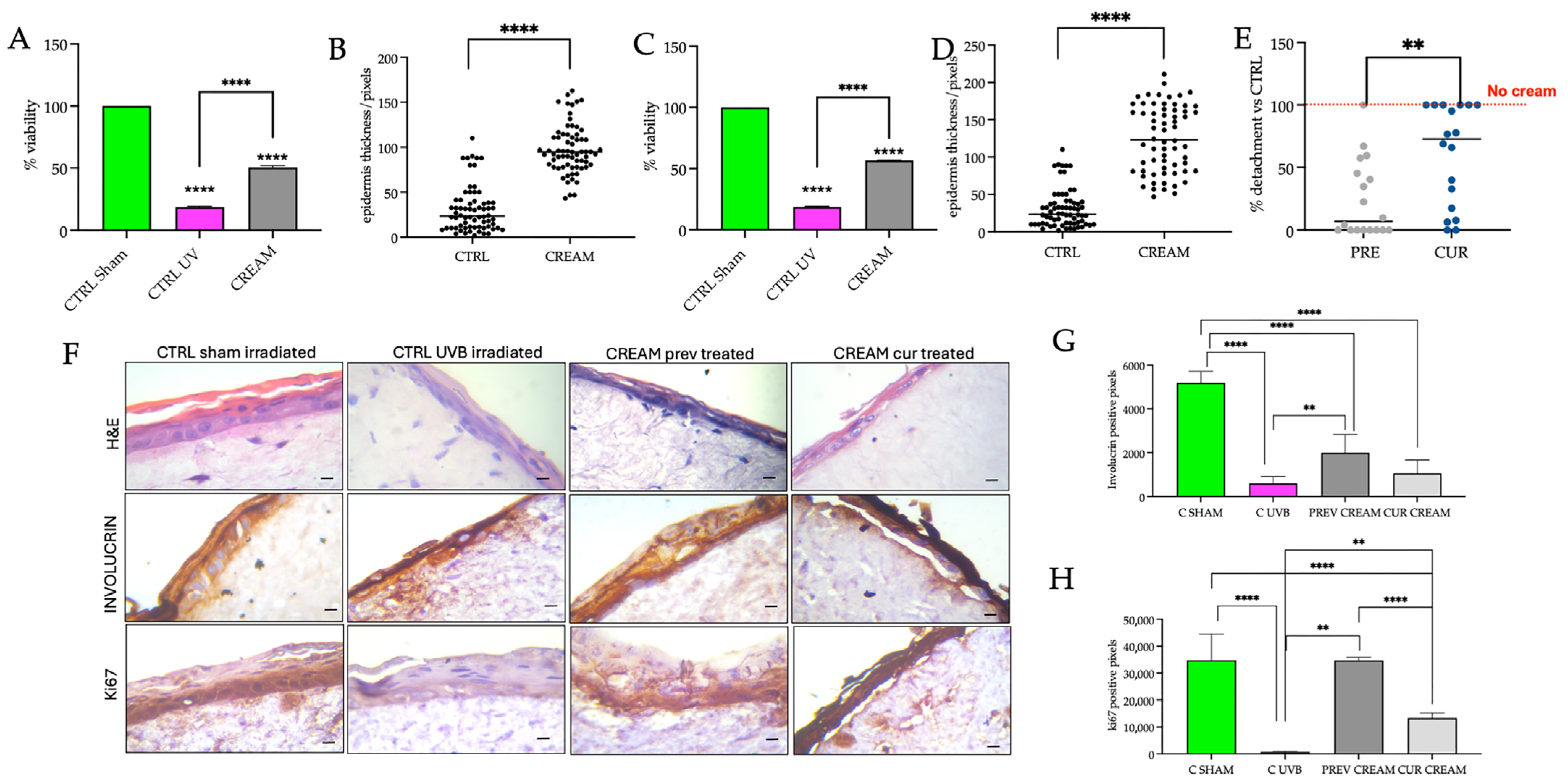 Pharmaceutics 17 00472 g005