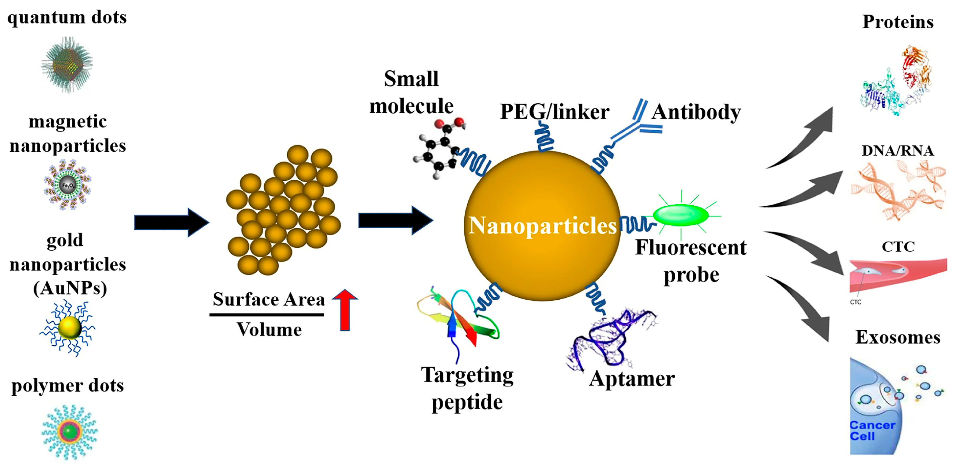 Pharmaceutics 17 00479 g001