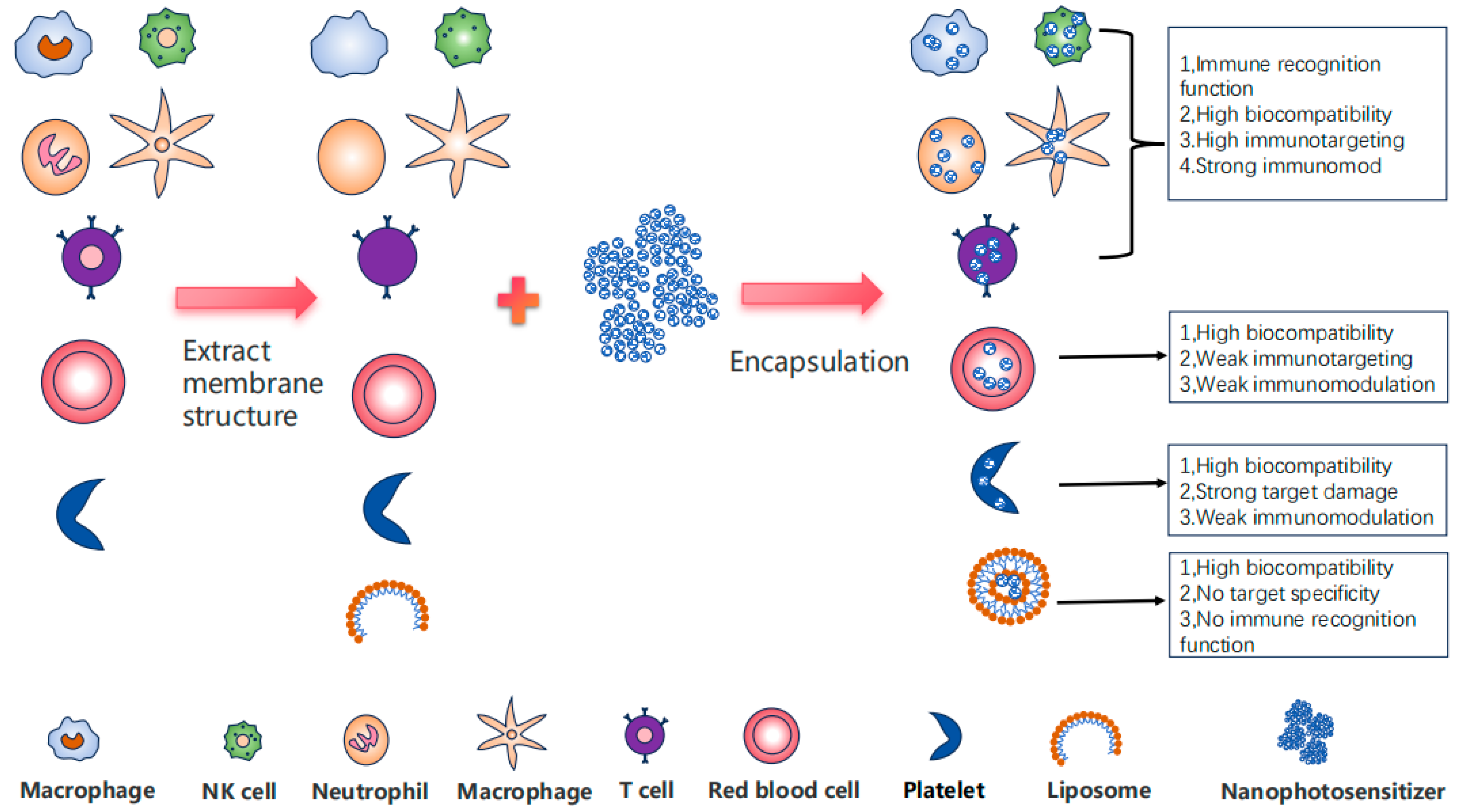Pharmaceutics 17 00481 g002