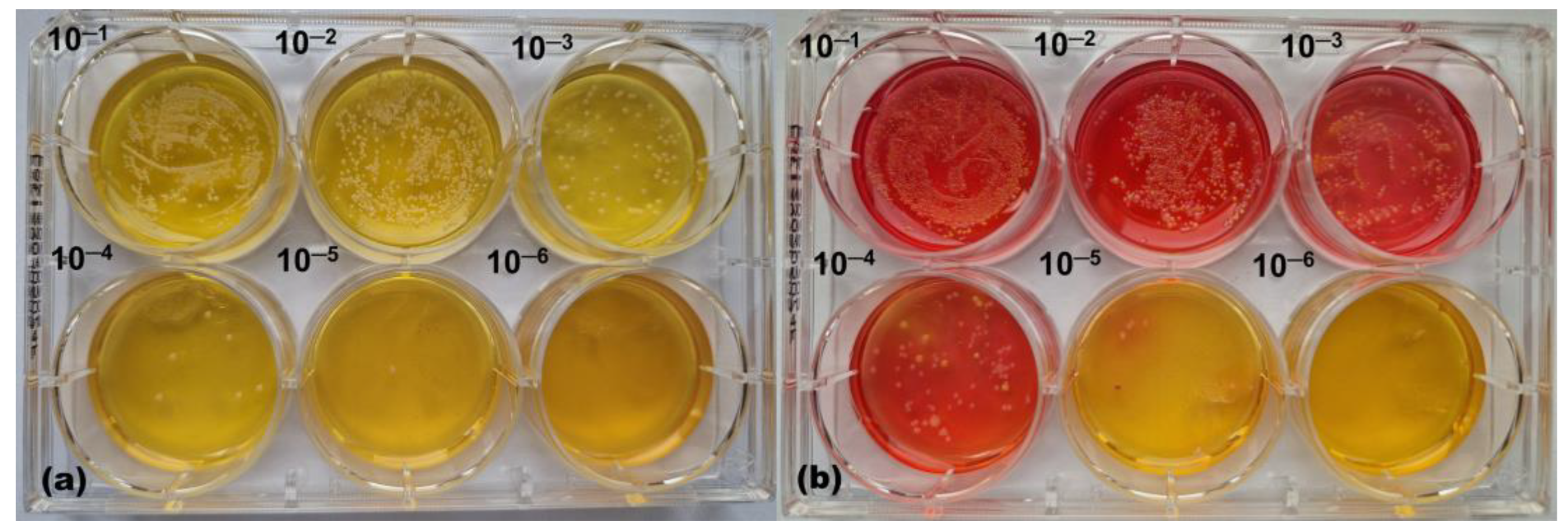 Pharmaceutics 17 00487 g004