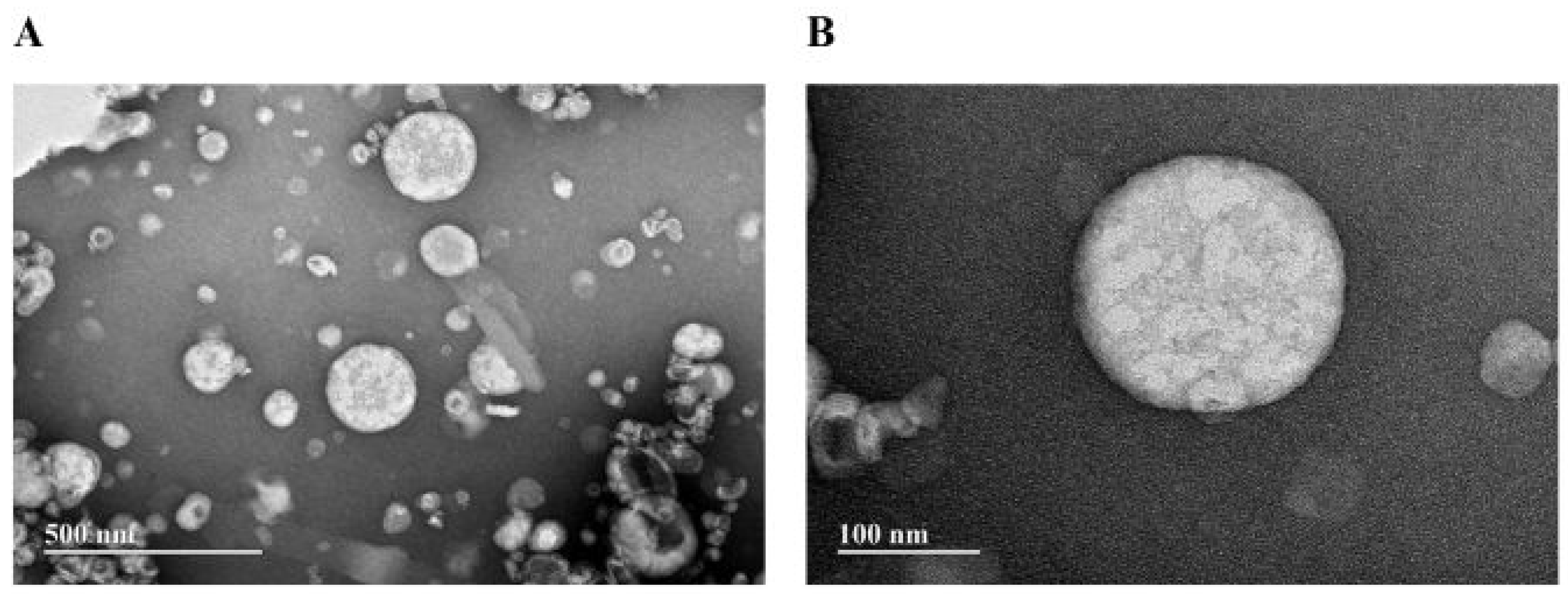 Pharmaceutics 17 00498 g006