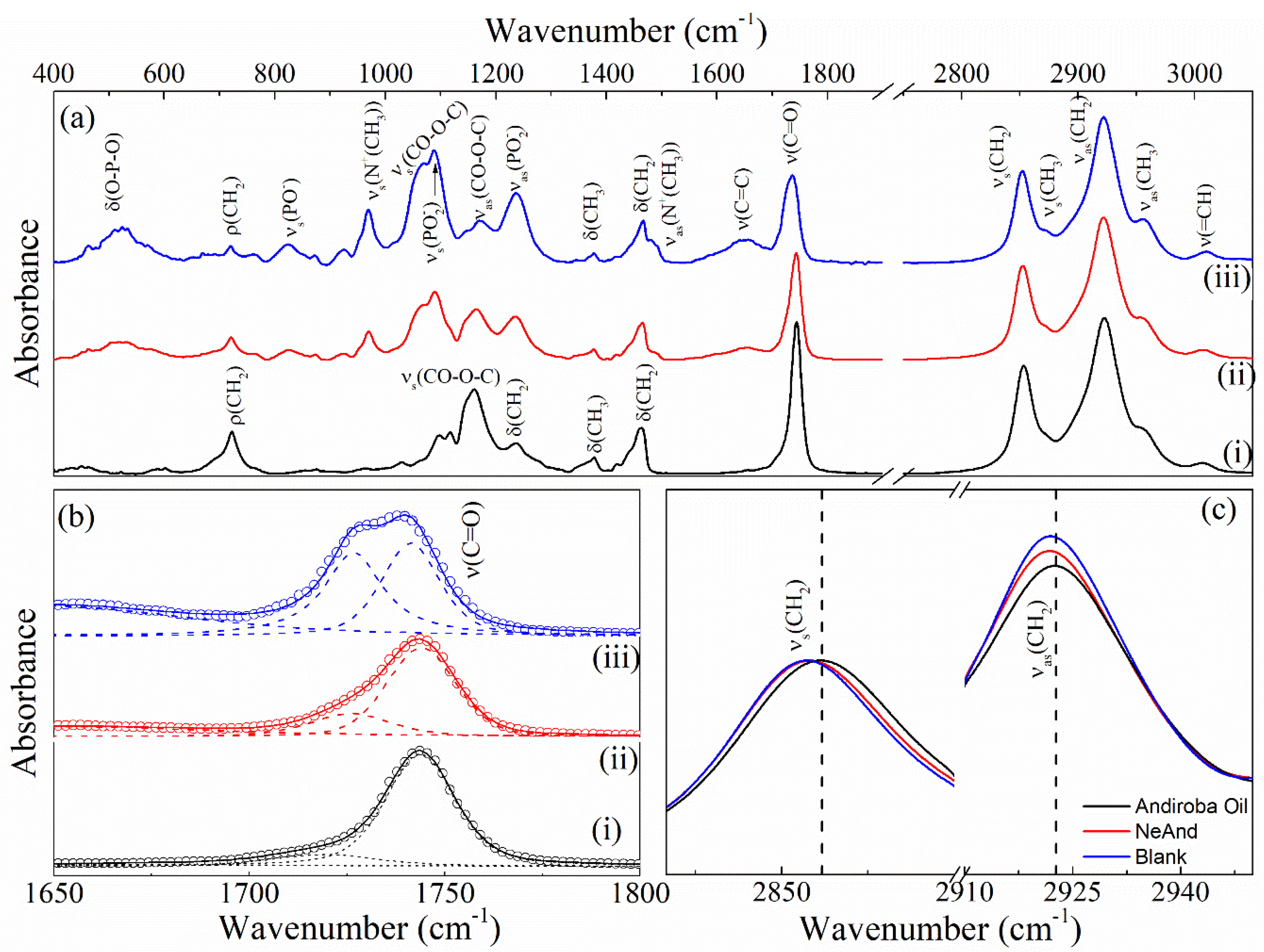 Pharmaceutics 17 00498 g007
