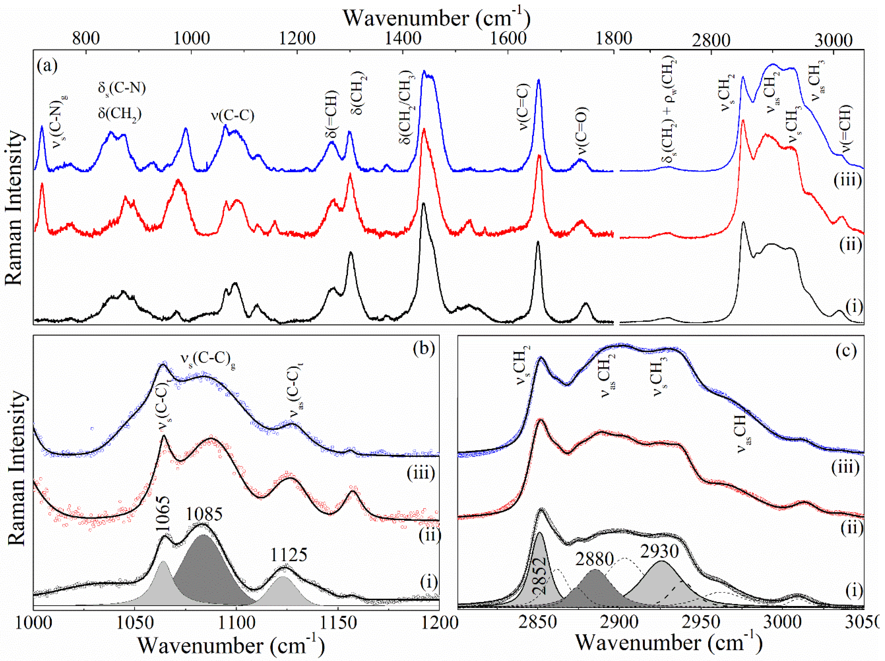 Pharmaceutics 17 00498 g008