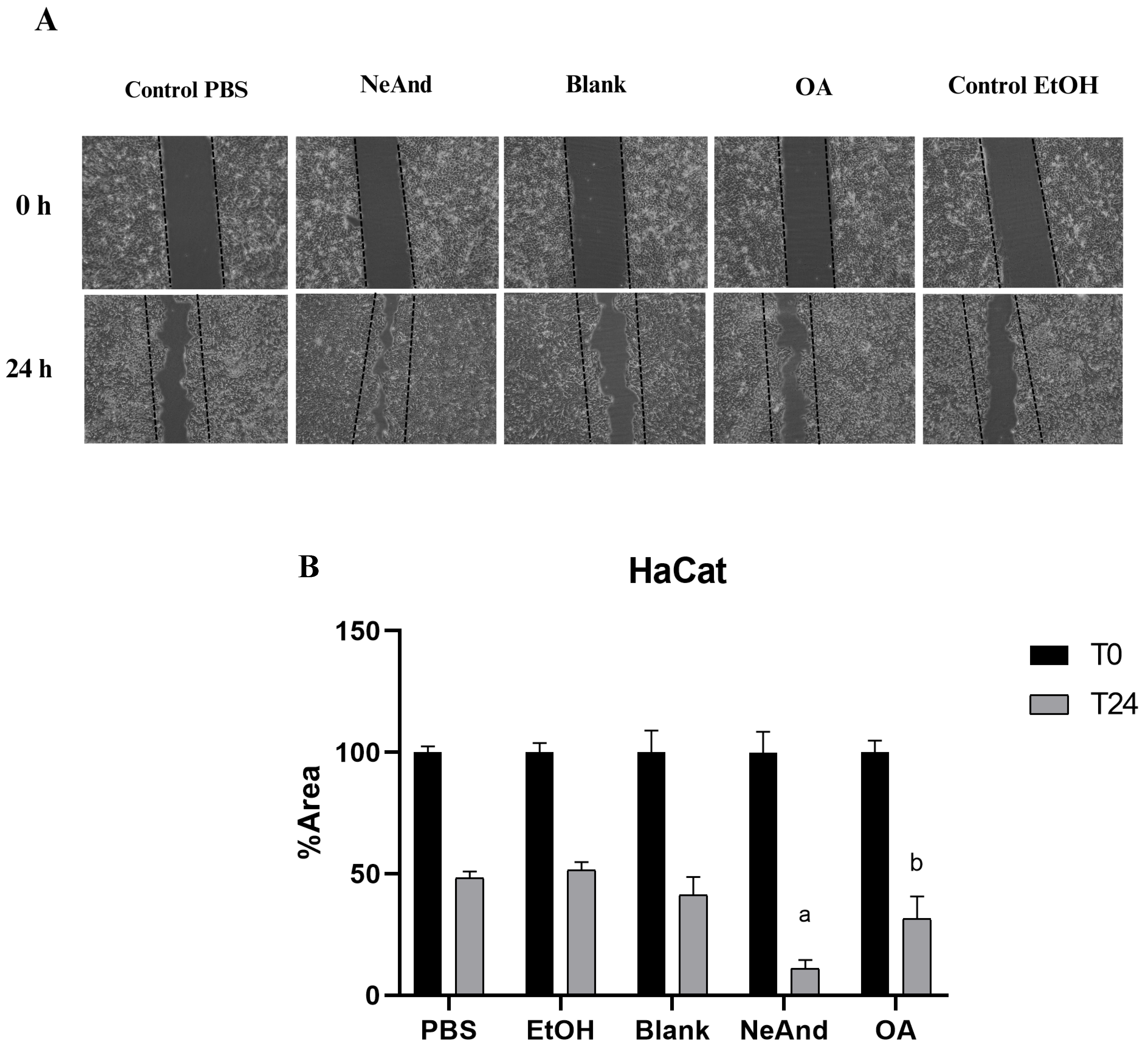 Pharmaceutics 17 00498 g010
