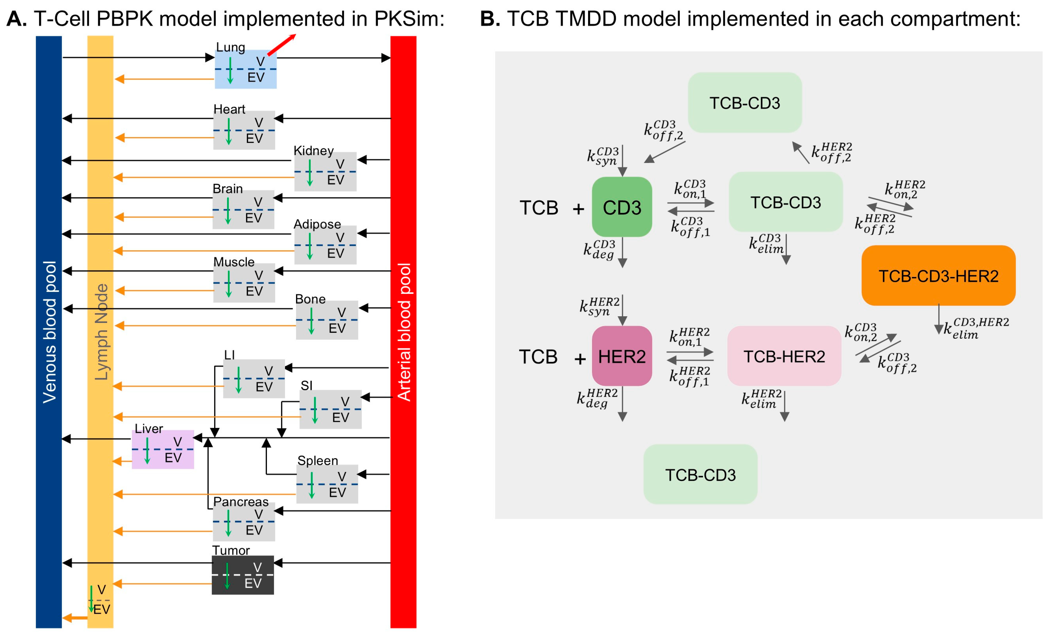 Pharmaceutics 17 00500 g001