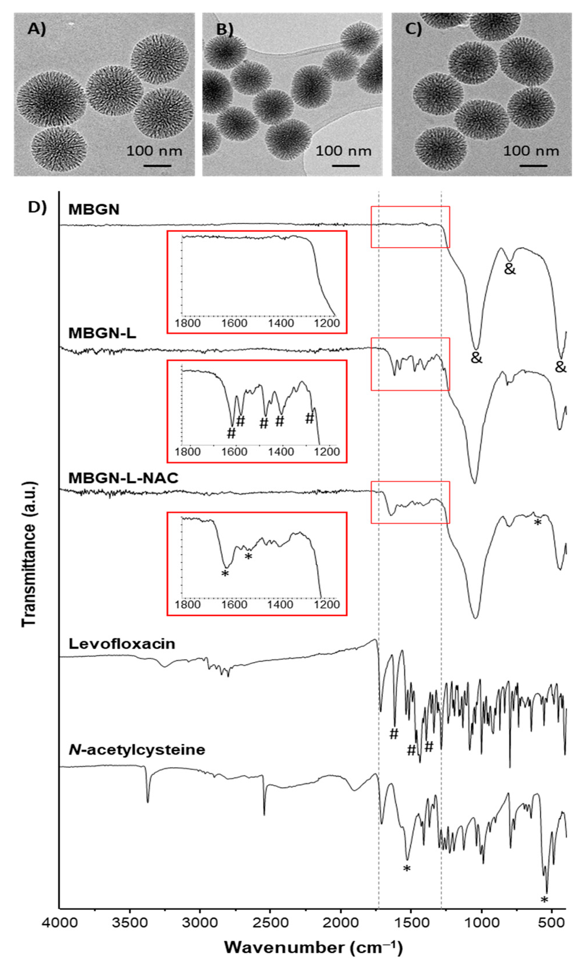 Pharmaceutics 17 00519 g001