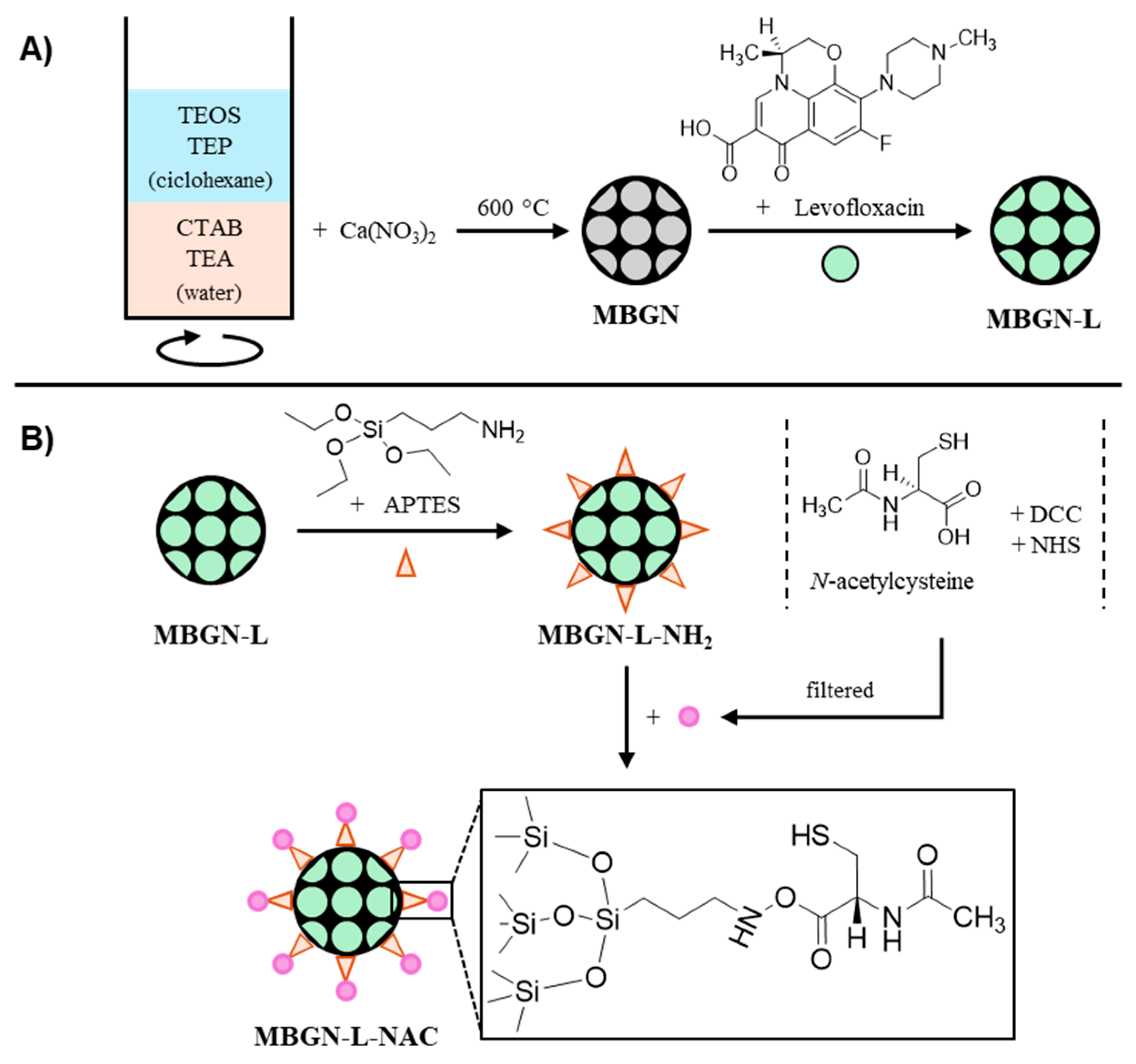 Pharmaceutics 17 00519 sch001