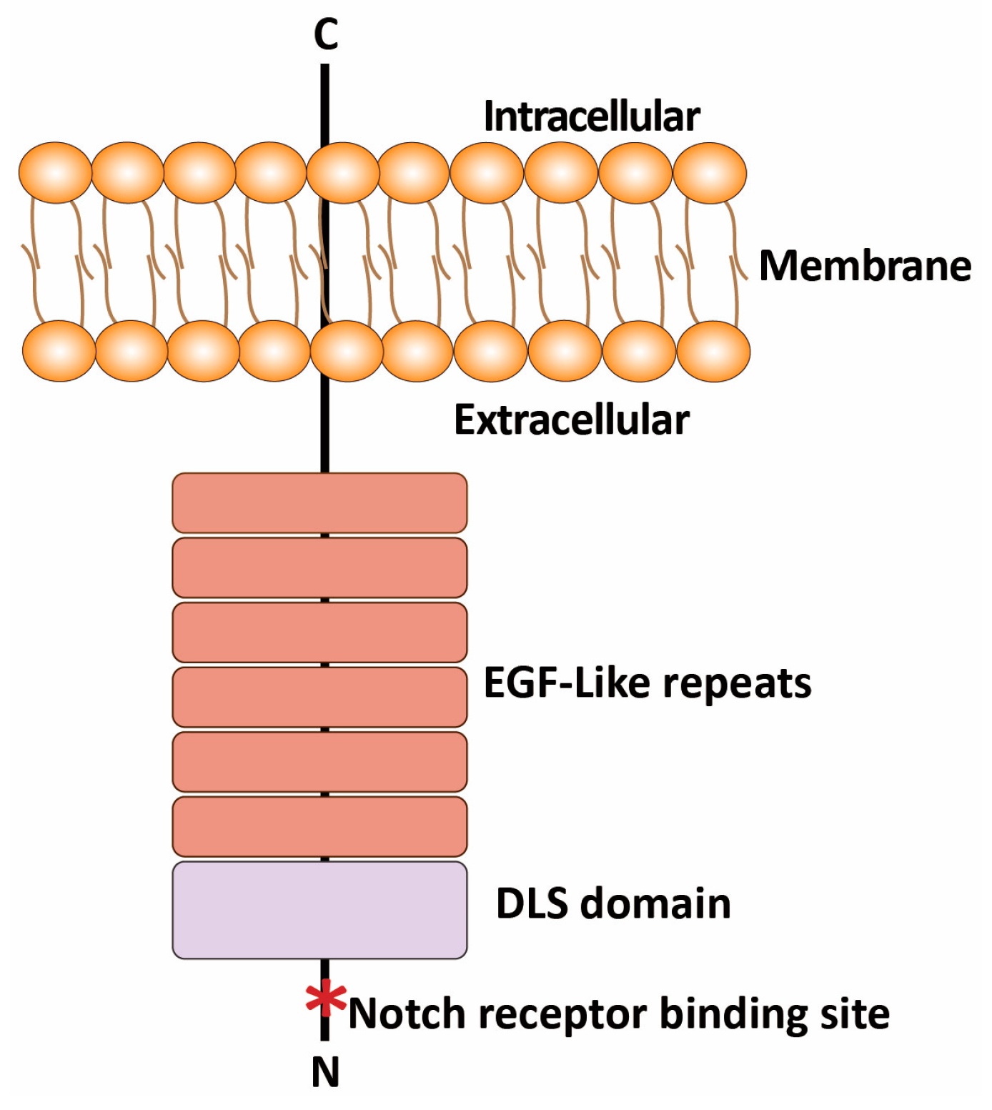 Pharmaceutics 17 00520 g001