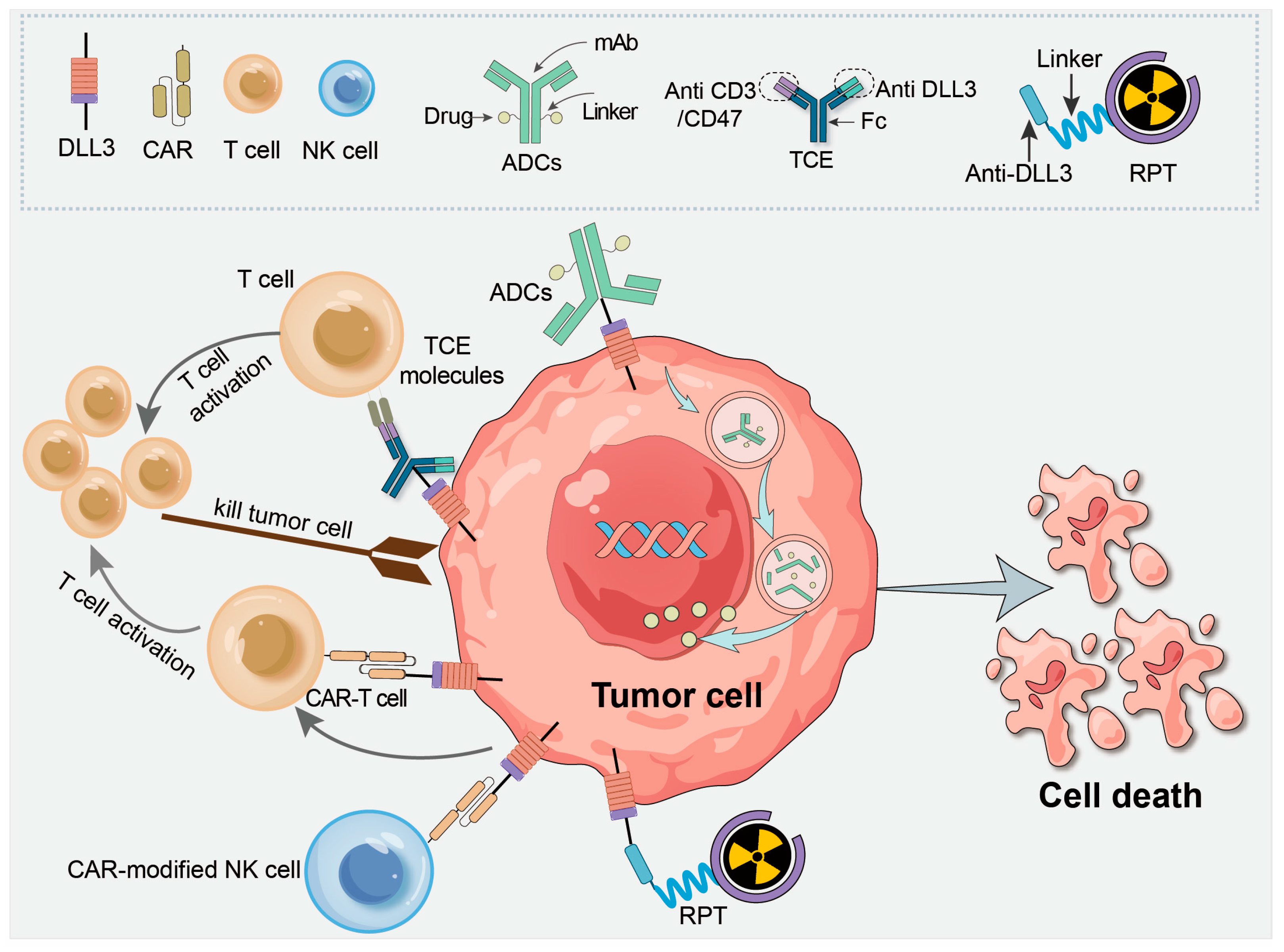 Pharmaceutics 17 00520 g004