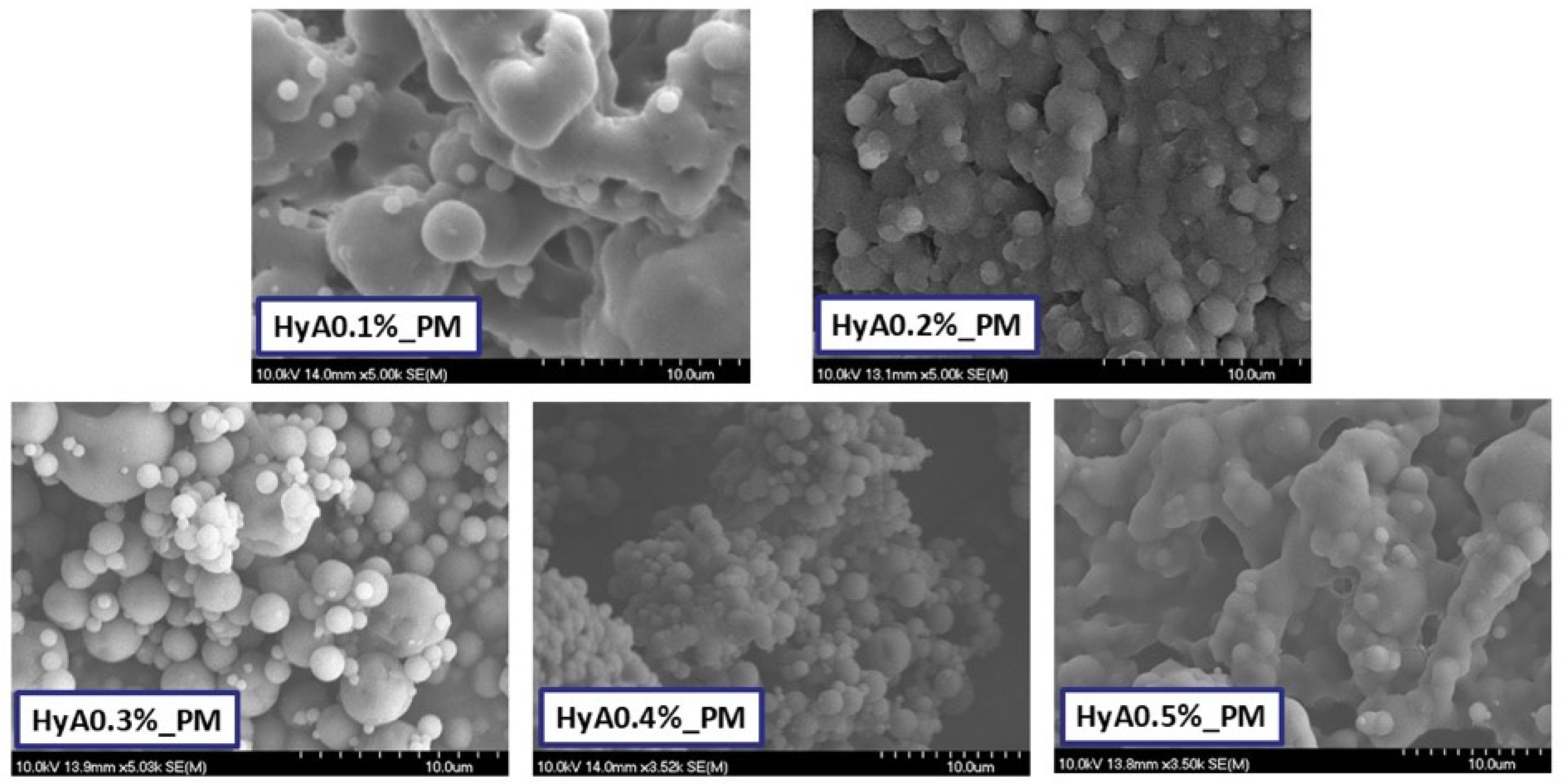 Pharmaceutics 17 00533 g001