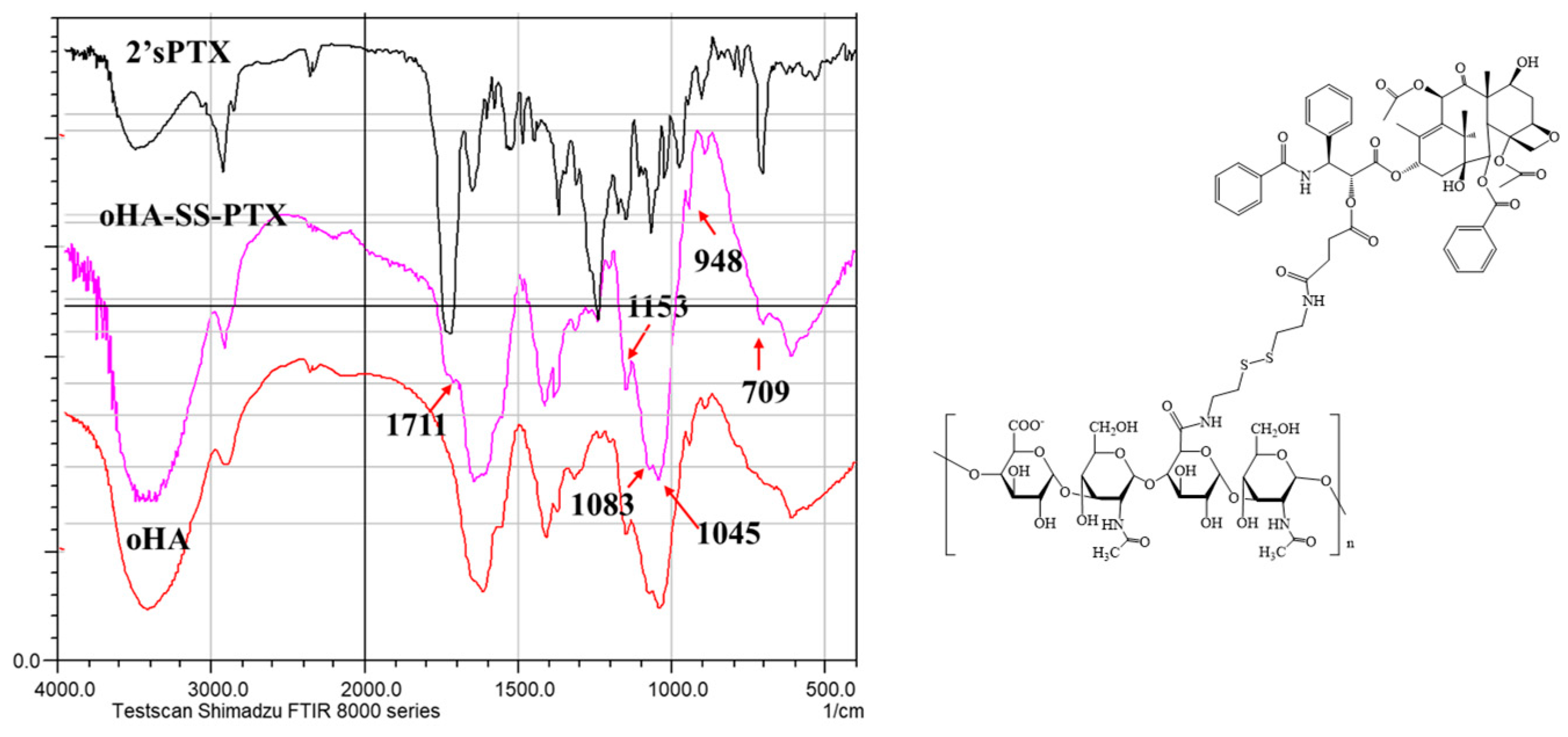 Pharmaceutics 17 00538 g001