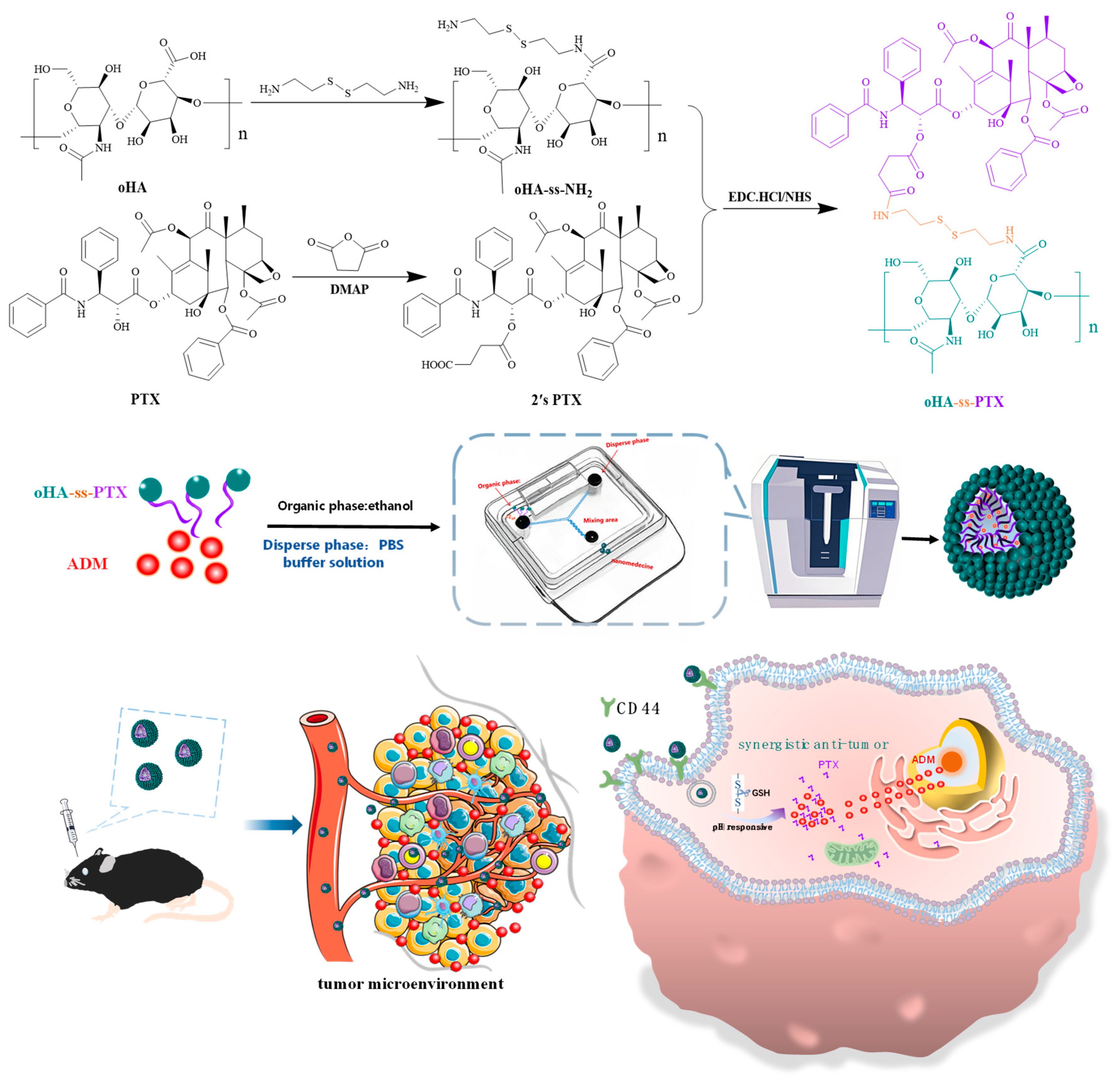 Pharmaceutics 17 00538 sch001