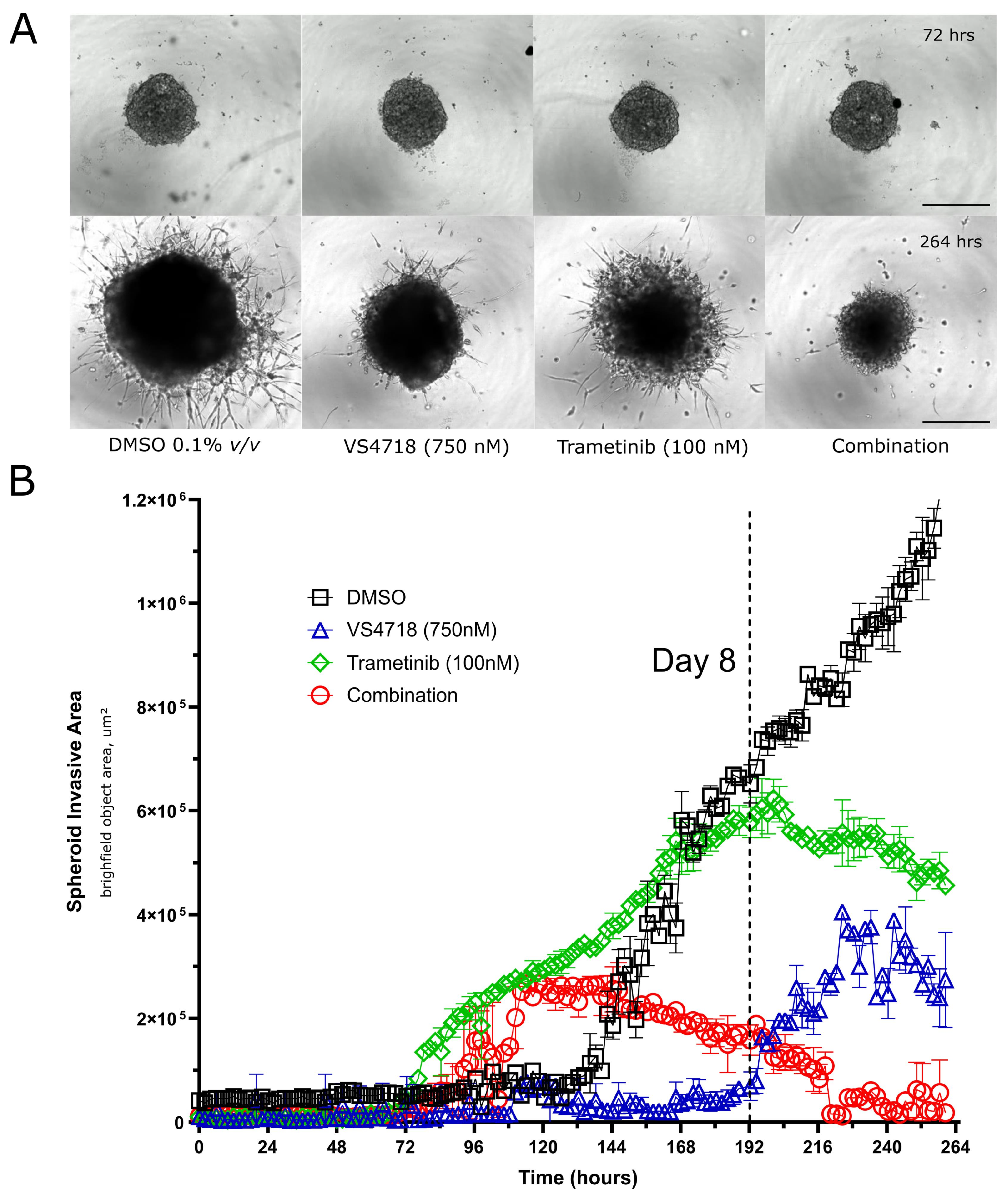 Pharmaceutics 17 00549 g006