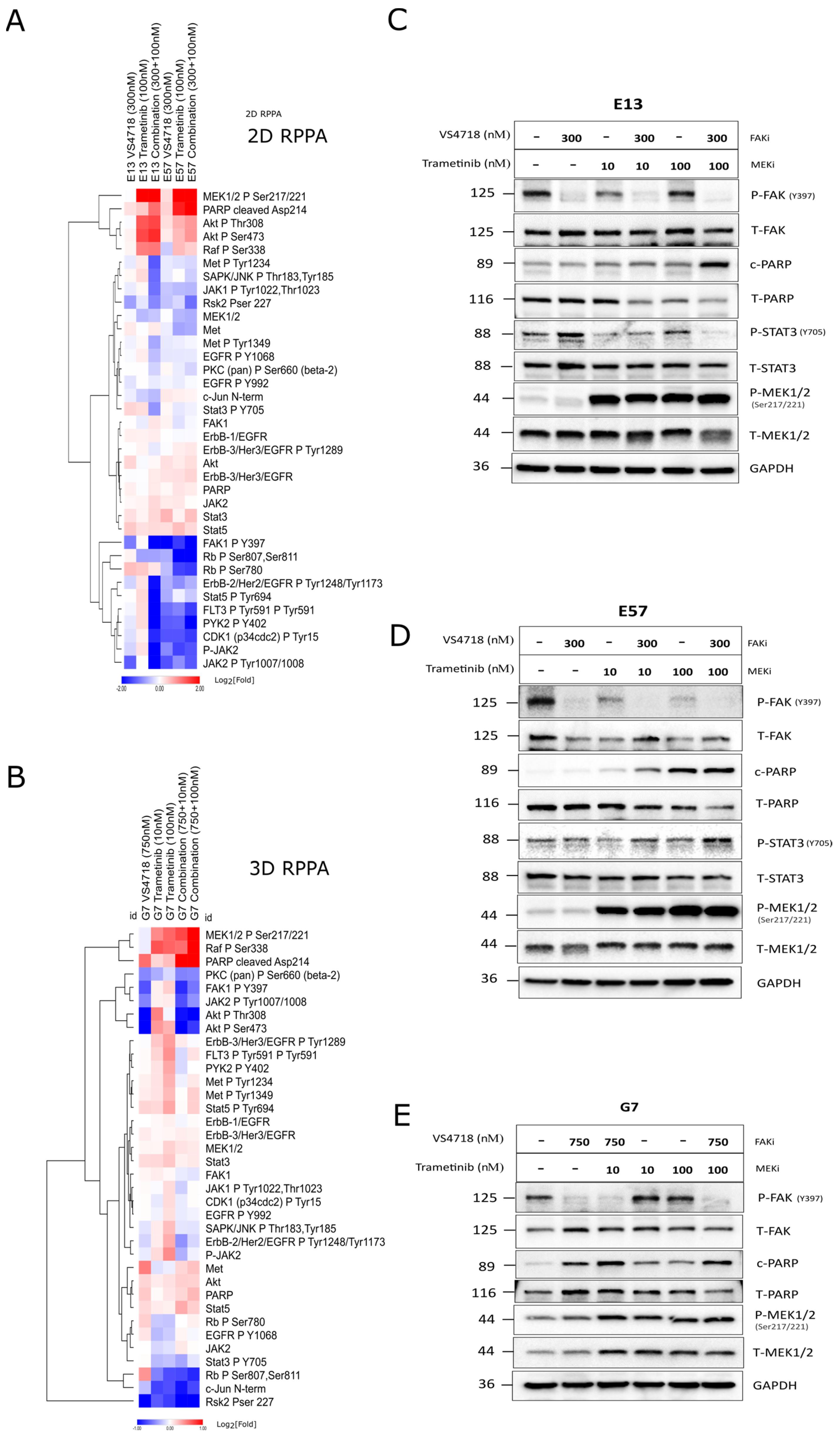 Pharmaceutics 17 00549 g007