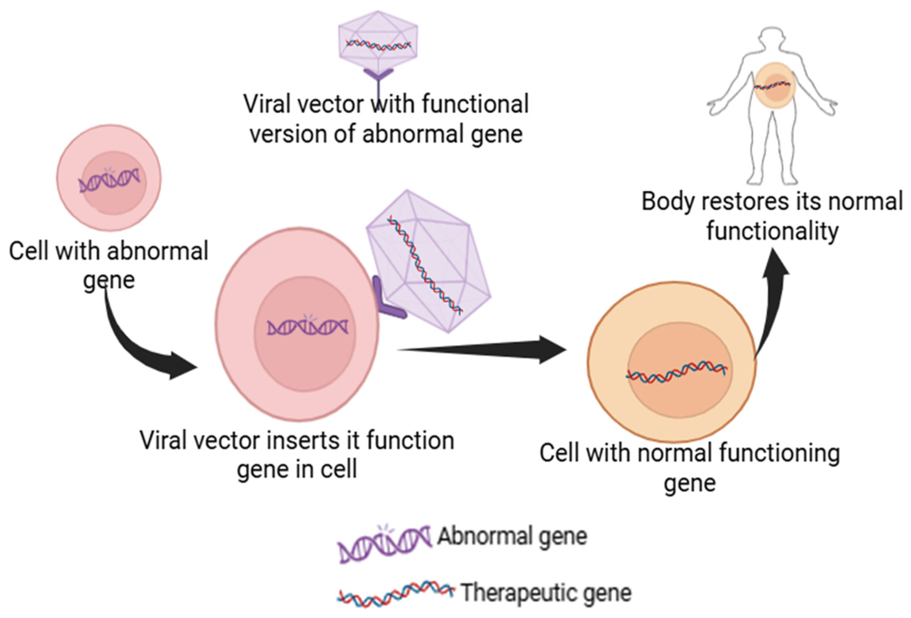 Pharmaceutics 17 00550 g002