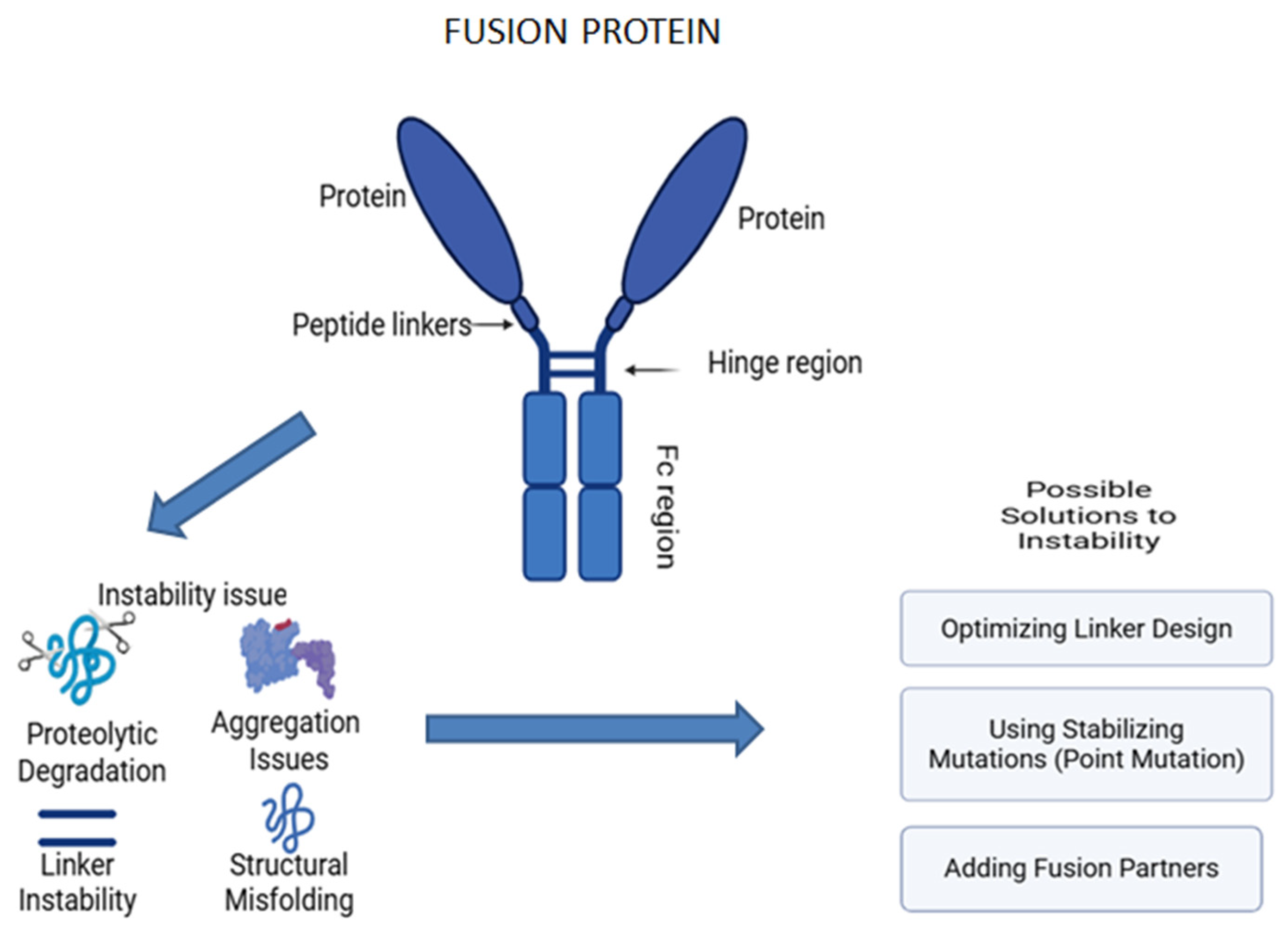 Pharmaceutics 17 00550 g010