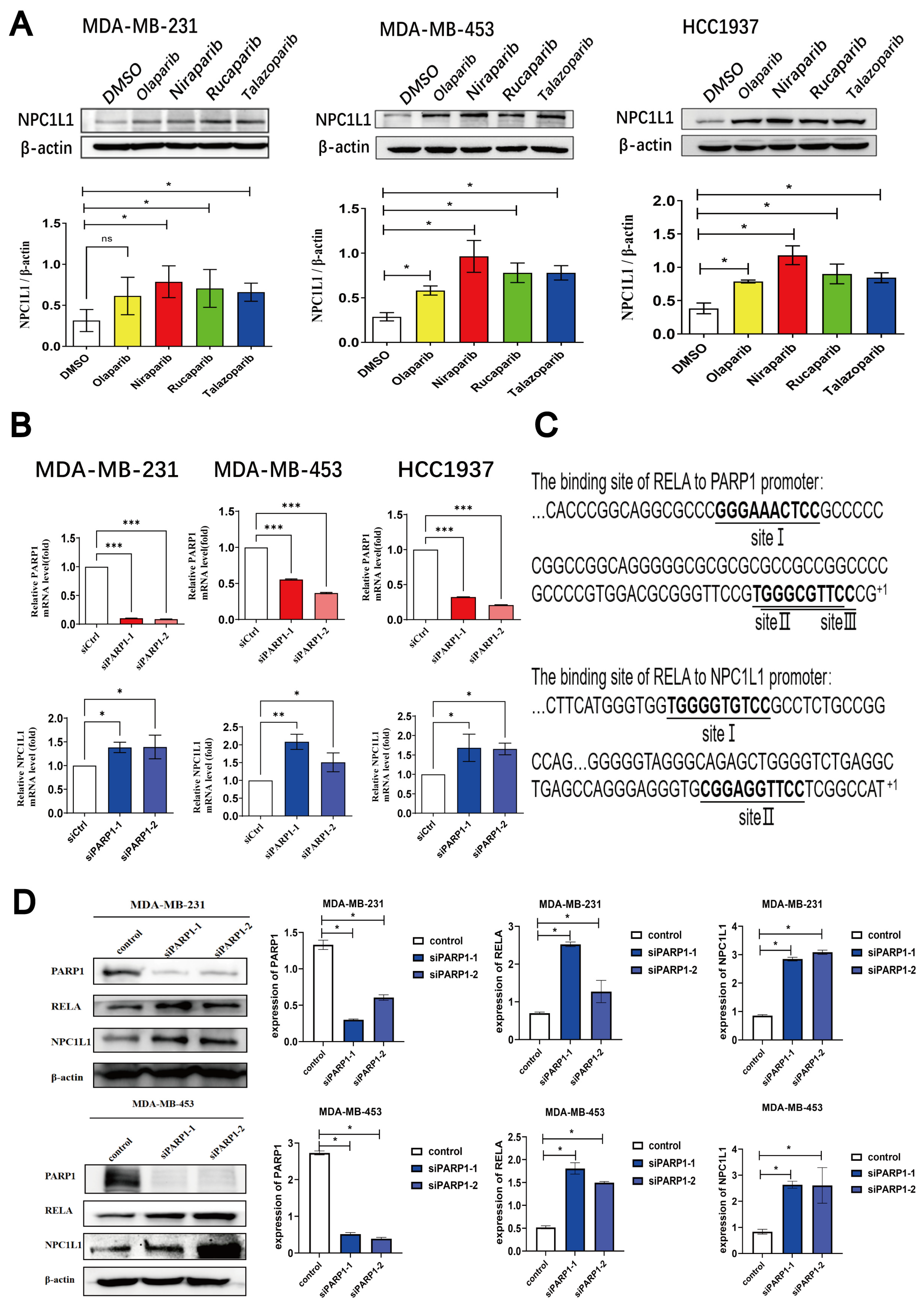 Pharmaceutics 17 00554 g002a