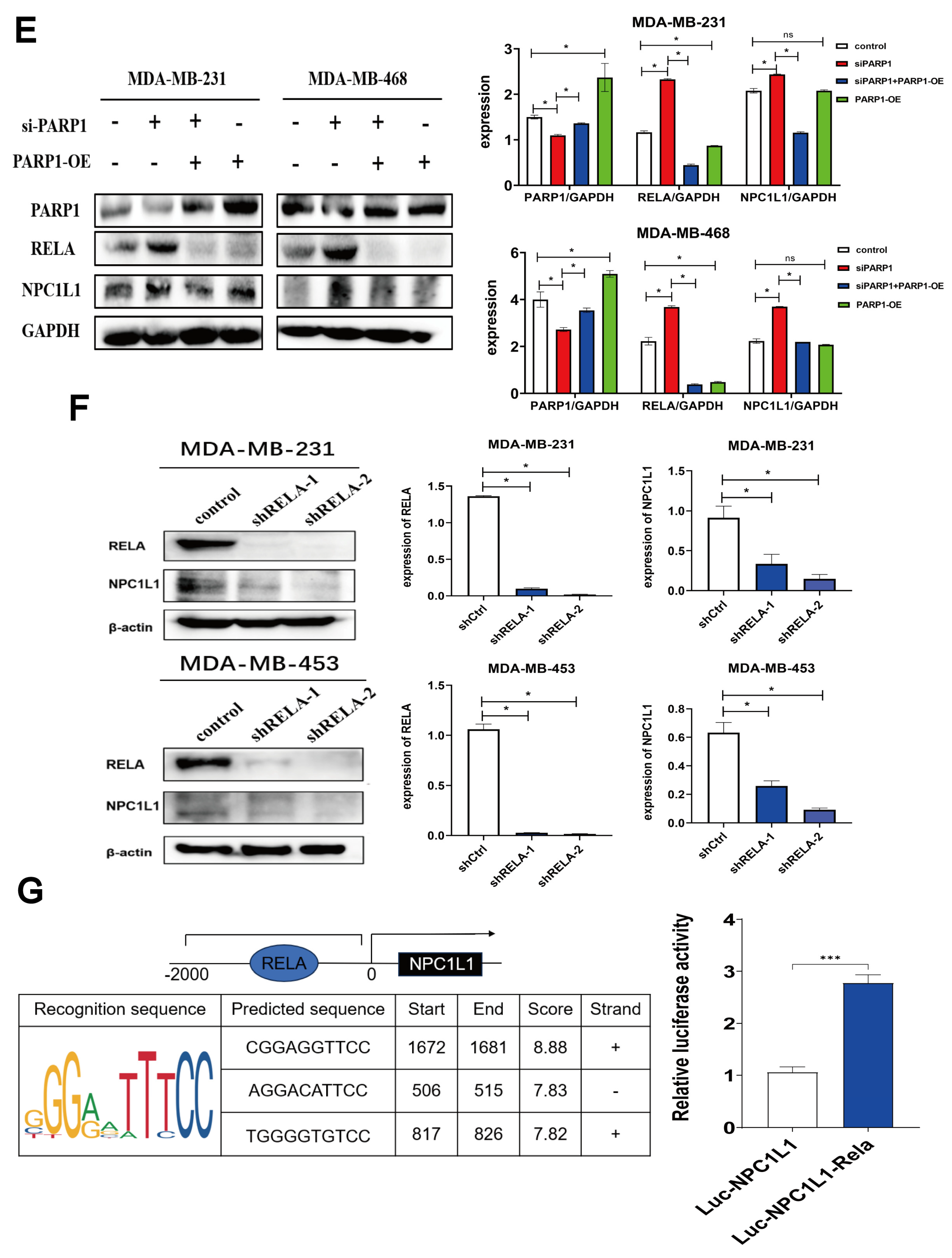 Pharmaceutics 17 00554 g002b