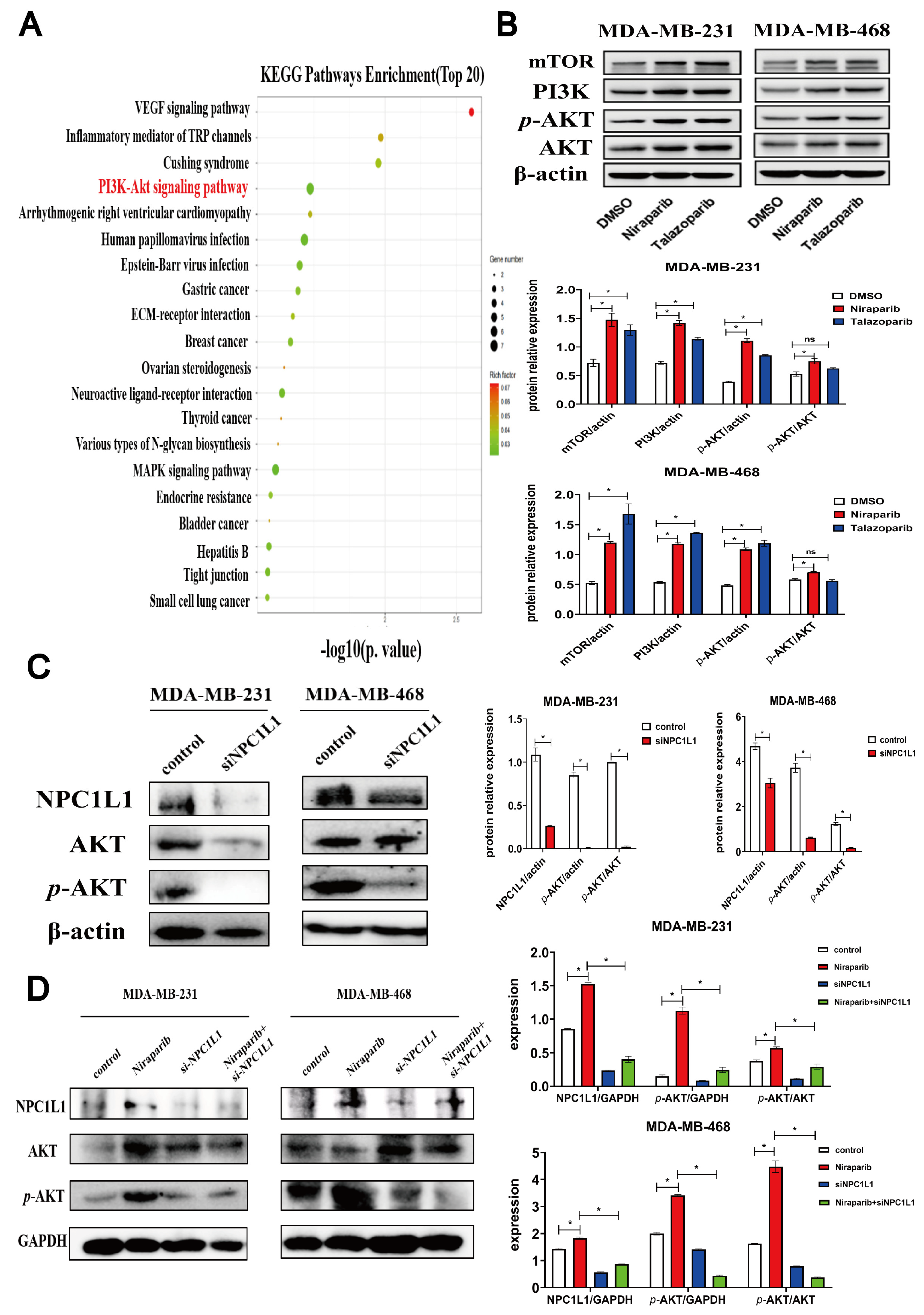 Pharmaceutics 17 00554 g003